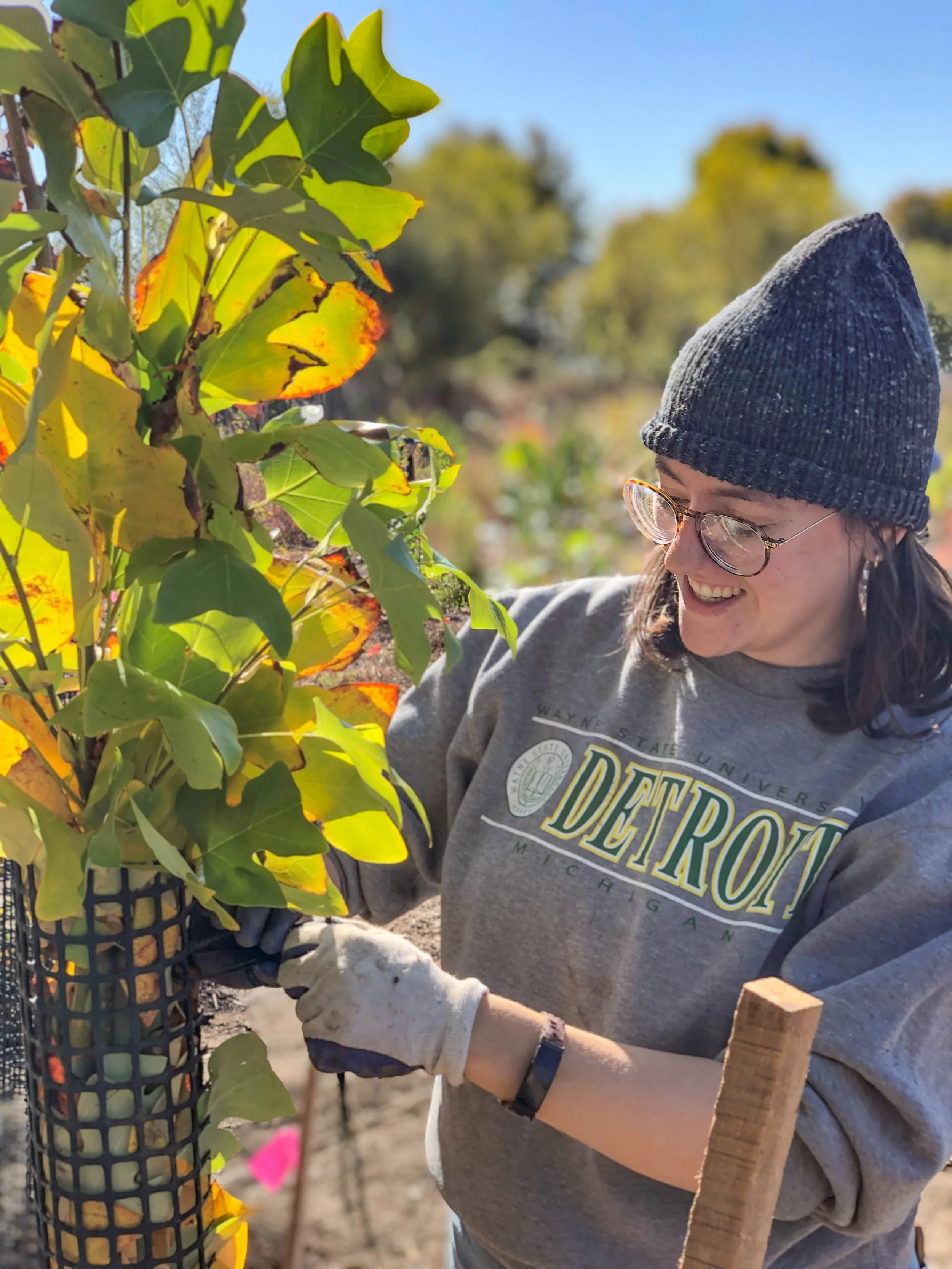 Volunteers Planting Trees 2.jpg