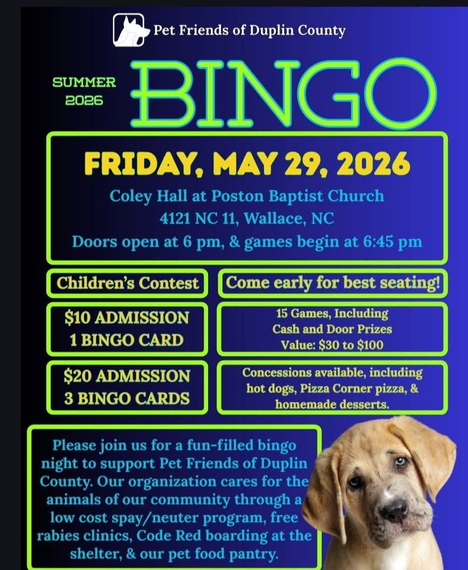 Bingo 