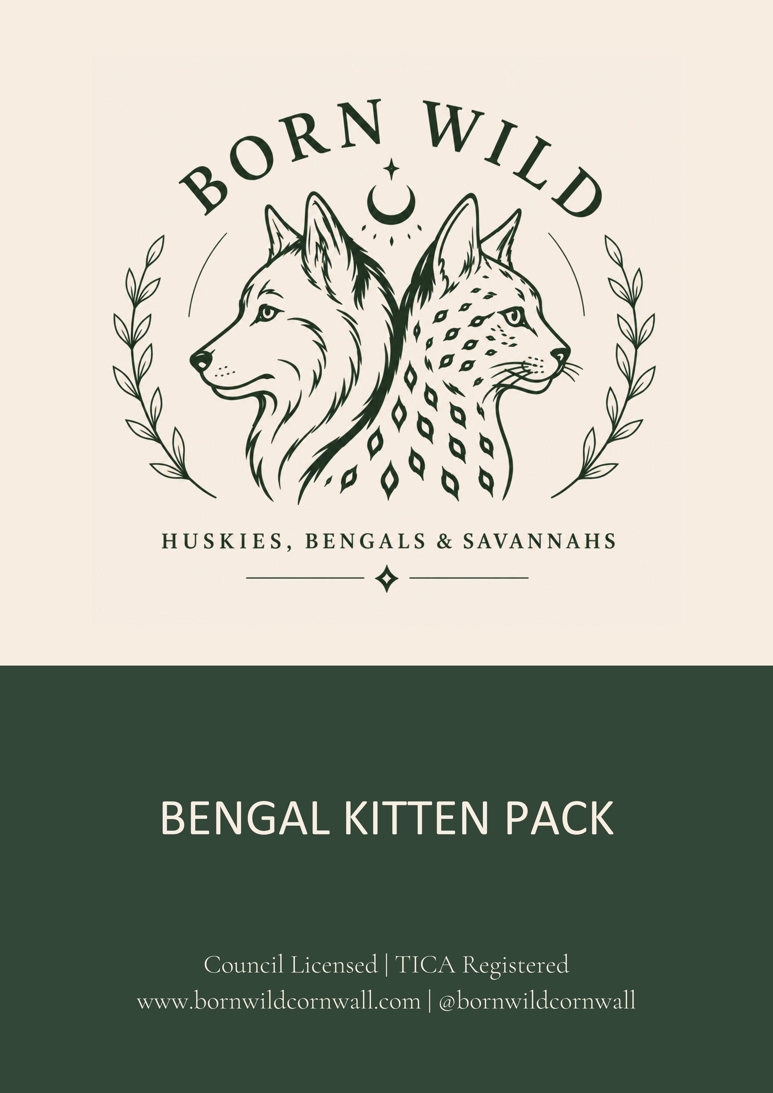 The Born Wild Bengal Guide