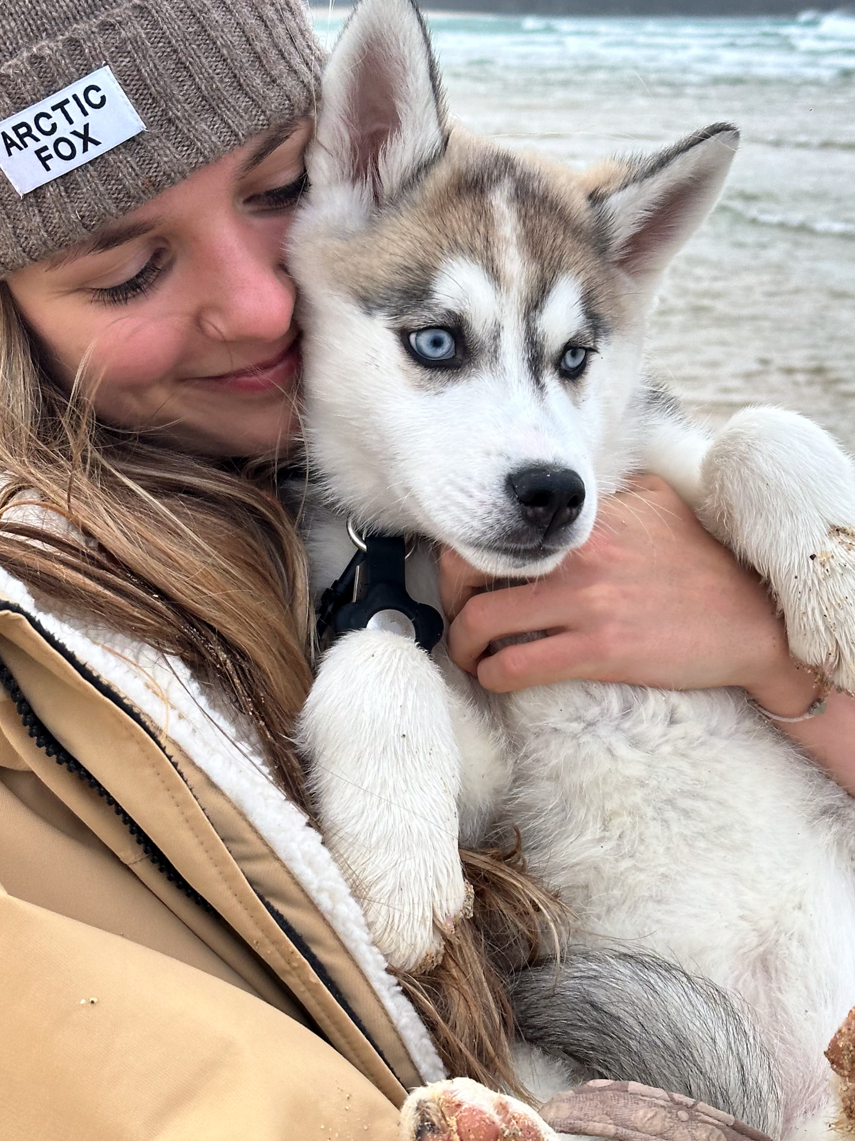 A young girl and a husky puppy at the beach, the girl is wearing a knit beanie that says 'Arctic Fox', and the girl is holding the puppy close while the puppy looks directly at the camera.