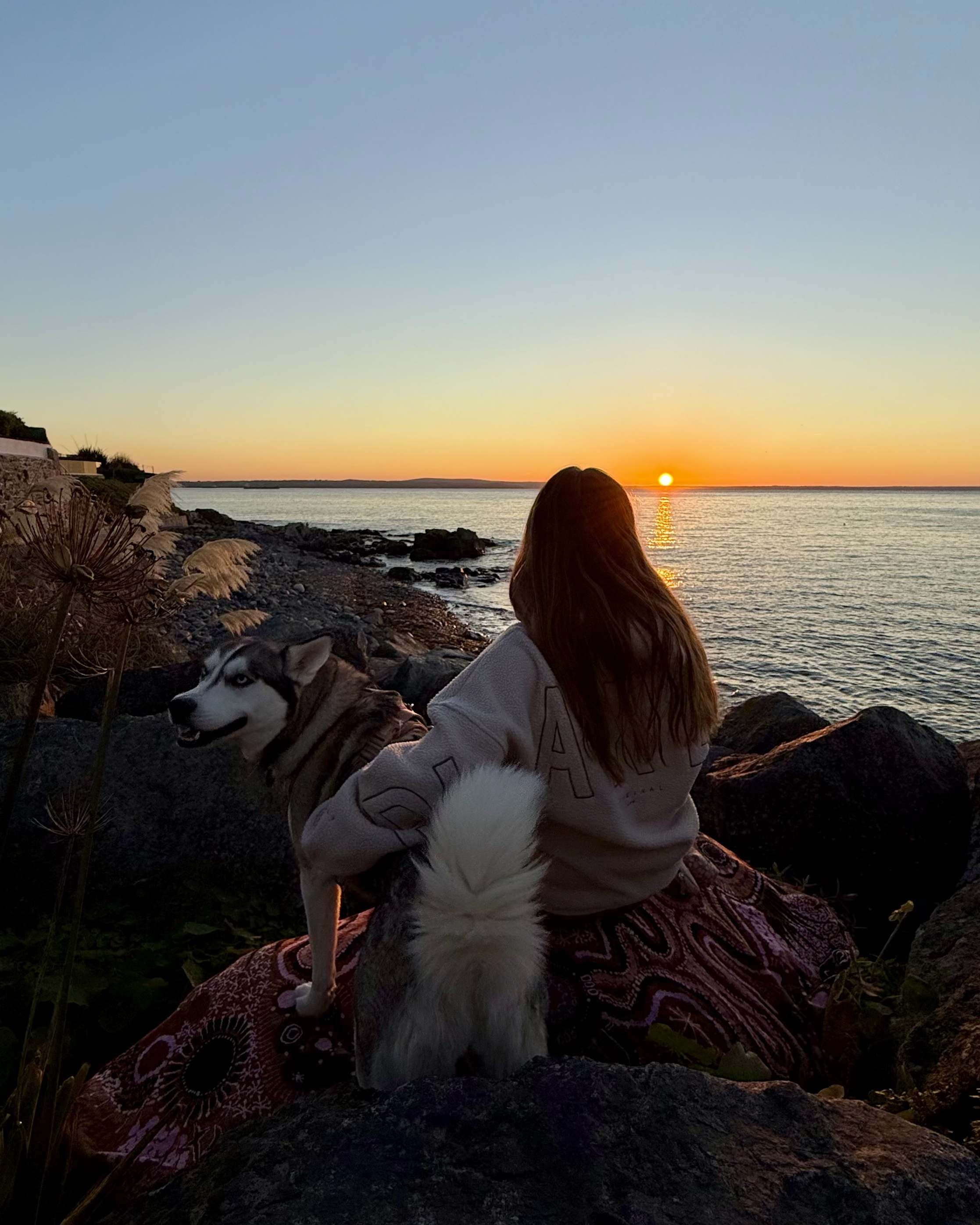 A woman and a husky dog sitting on rocks by the water, watching the sunset over the horizon.