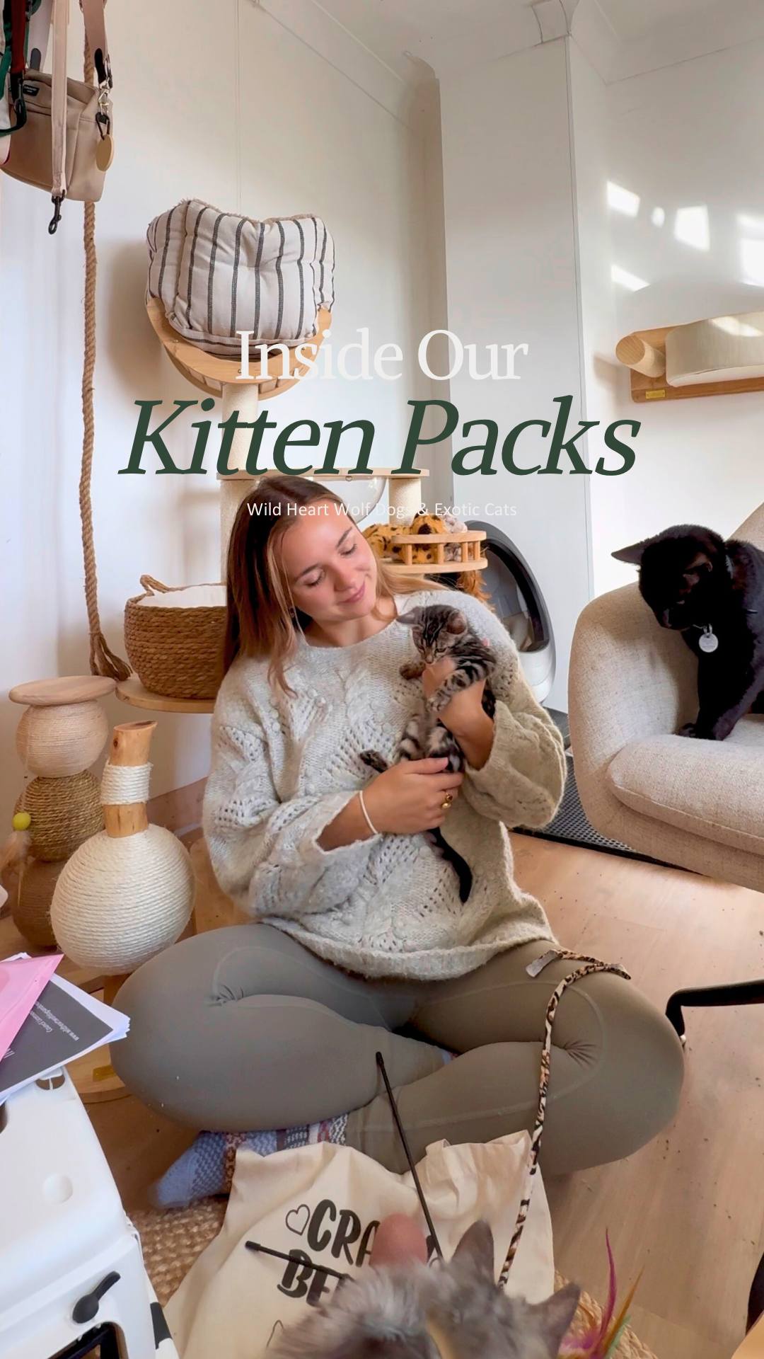 A woman sitting on the floor holding a kitten, with a black cat on the couch nearby. There are various cat and dog supplies and decorations in a cozy living room.