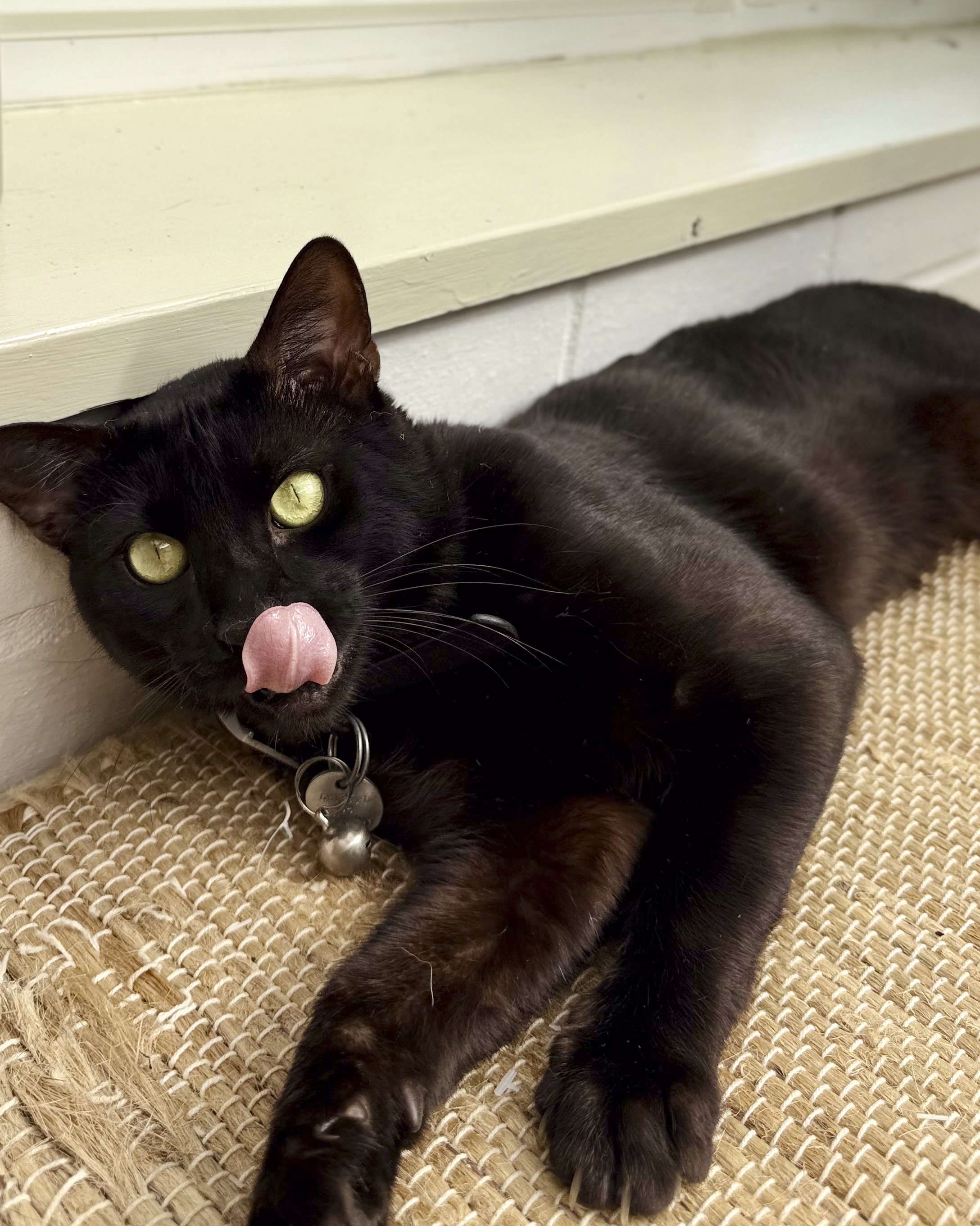 Close-up of a black cat with green eyes lying on a woven mat near a white wall and baseboard, with pink tongue sticking out.