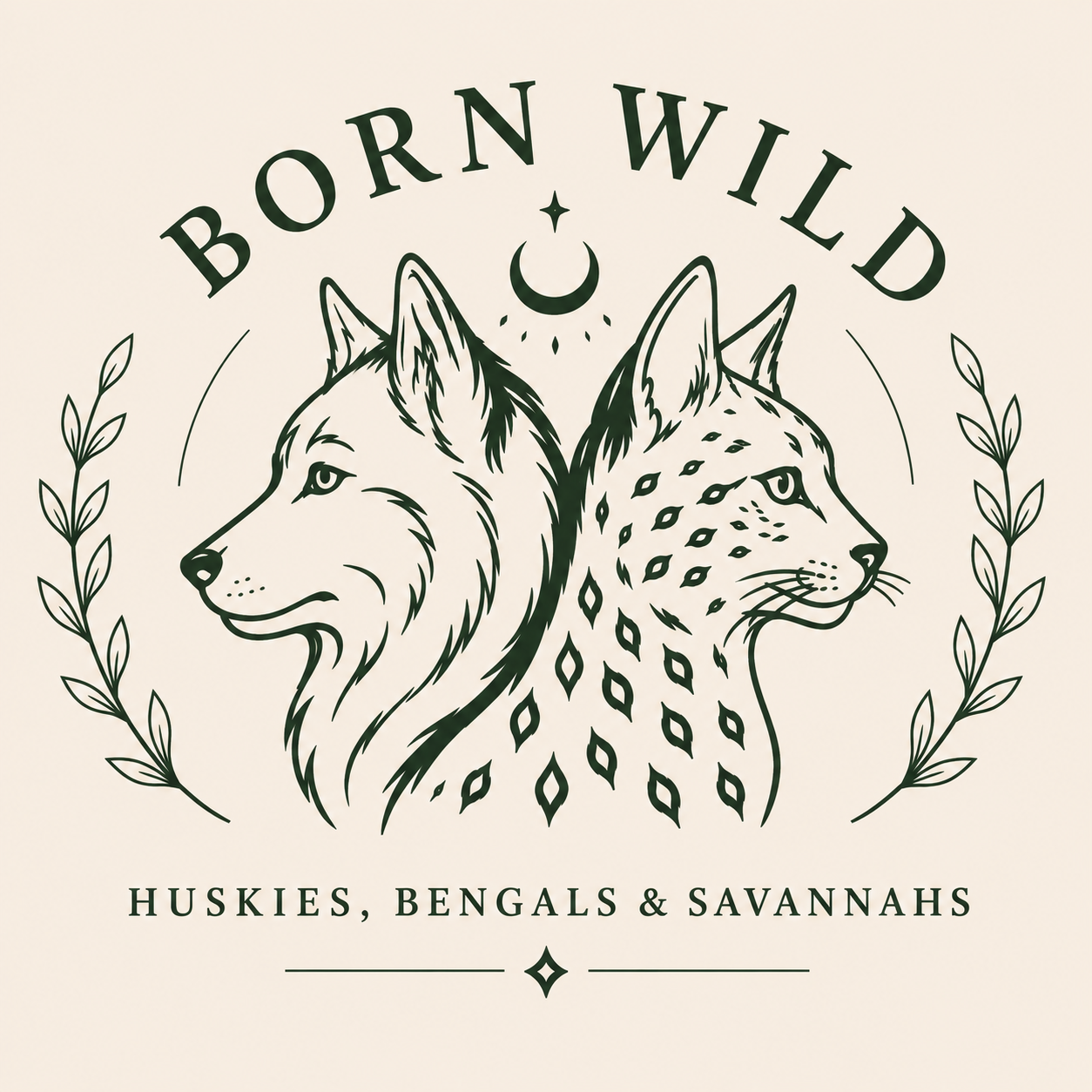 Born Wild Cornwall