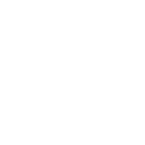 Battery icon