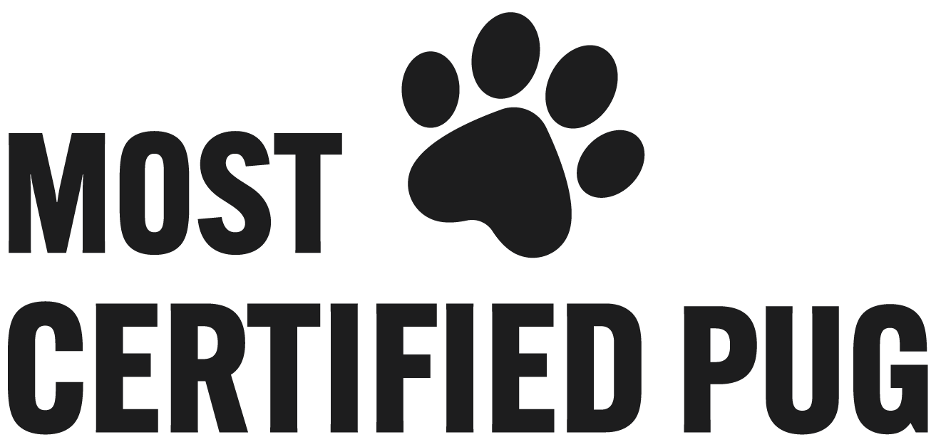 Most Certified Pug