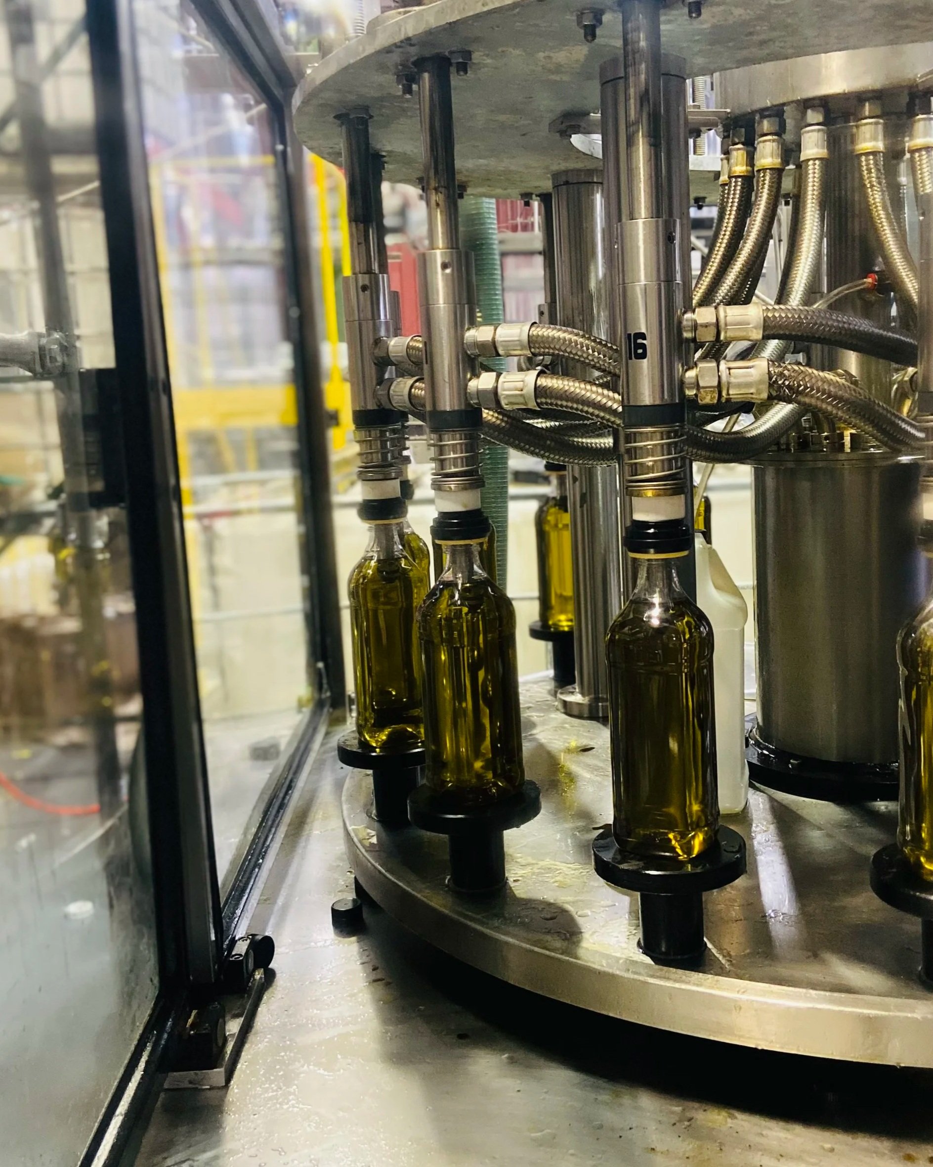 Bottles being filled with oil on a manufacturing assembly line.