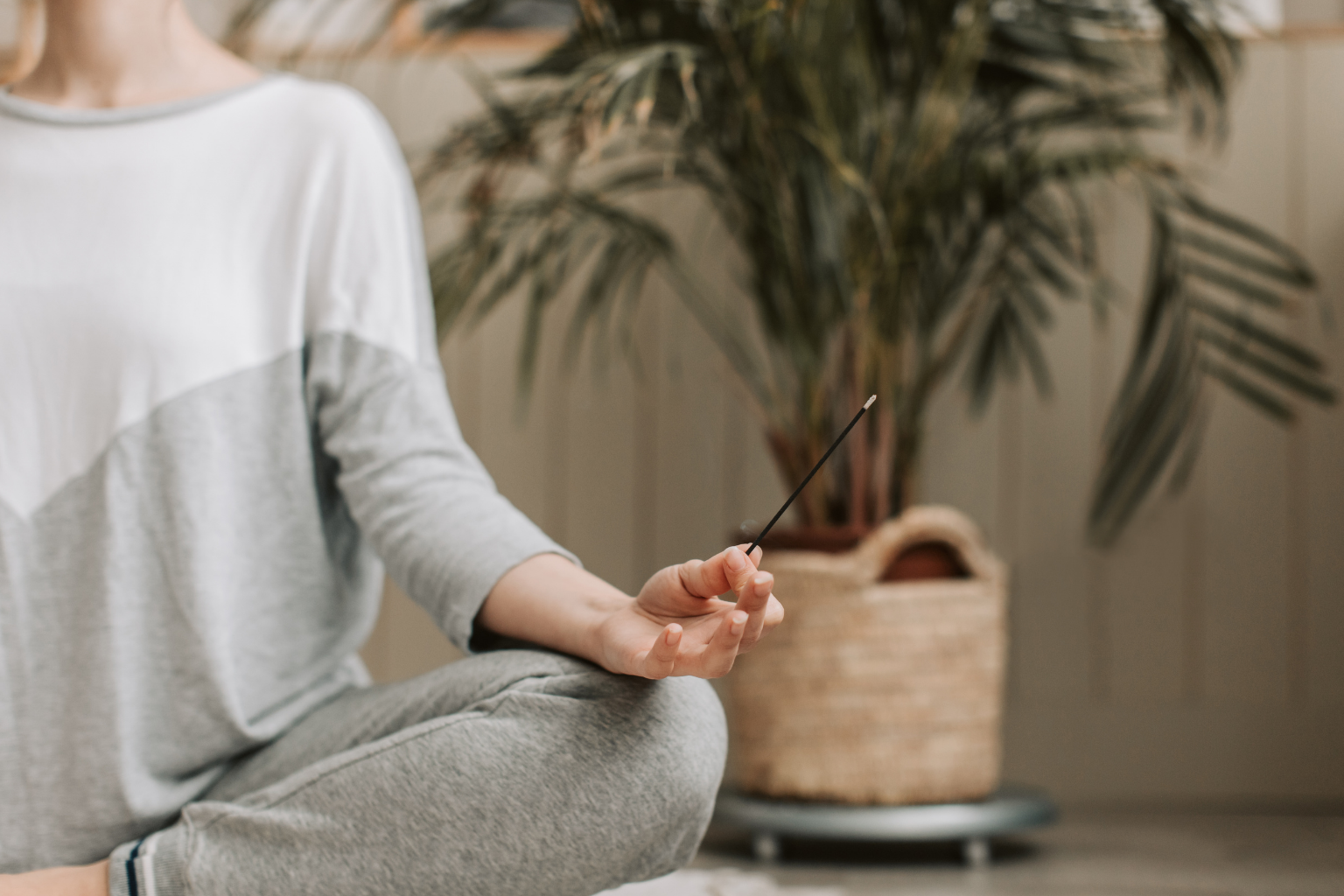 Person practicing meditation with a meditation stick, sitting cross-legged indoors near a large potted plant.