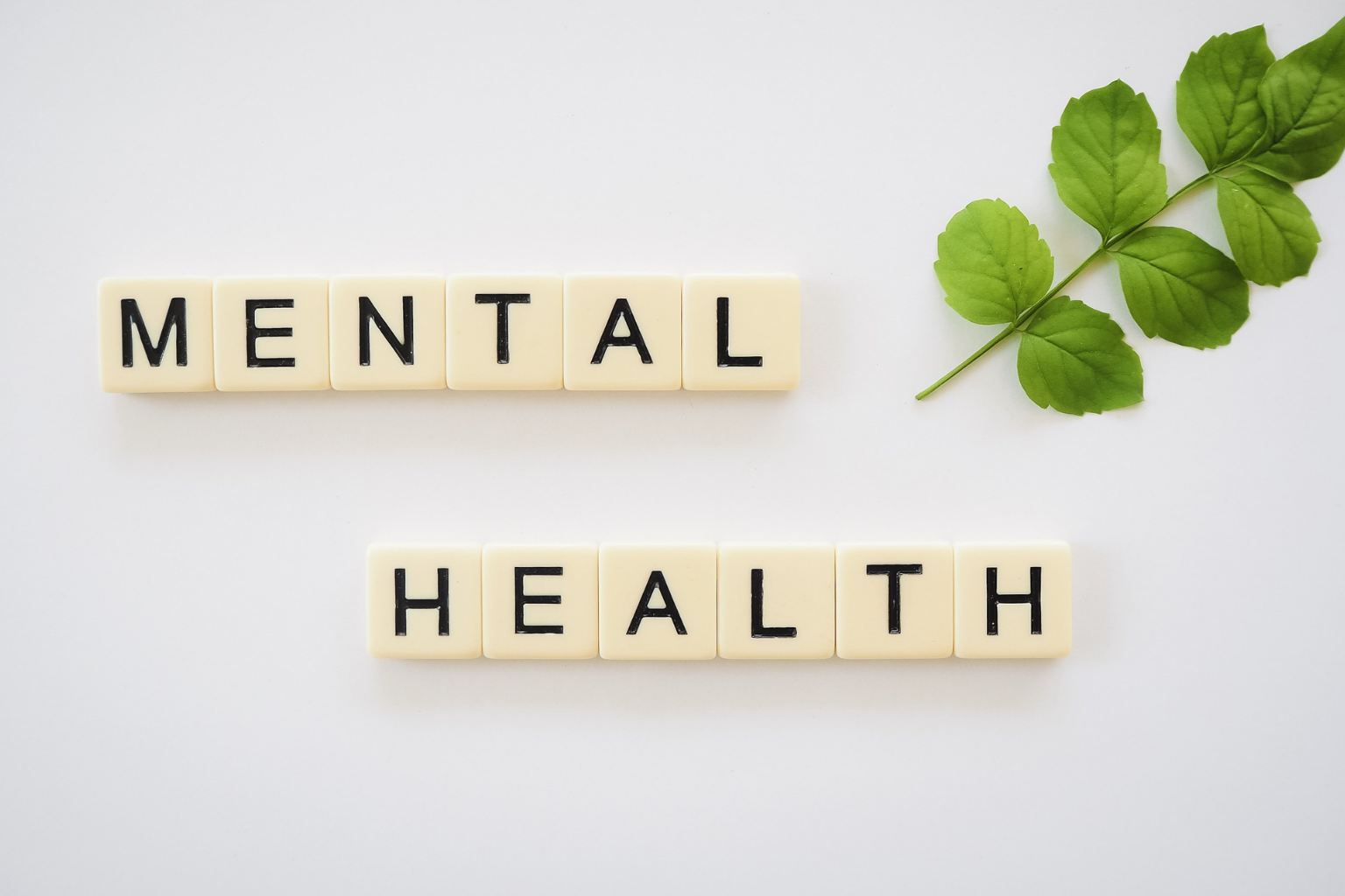 Scrabble tiles spelling 'MENTAL' and 'HEALTH' on white background, with a green leaf on the right.