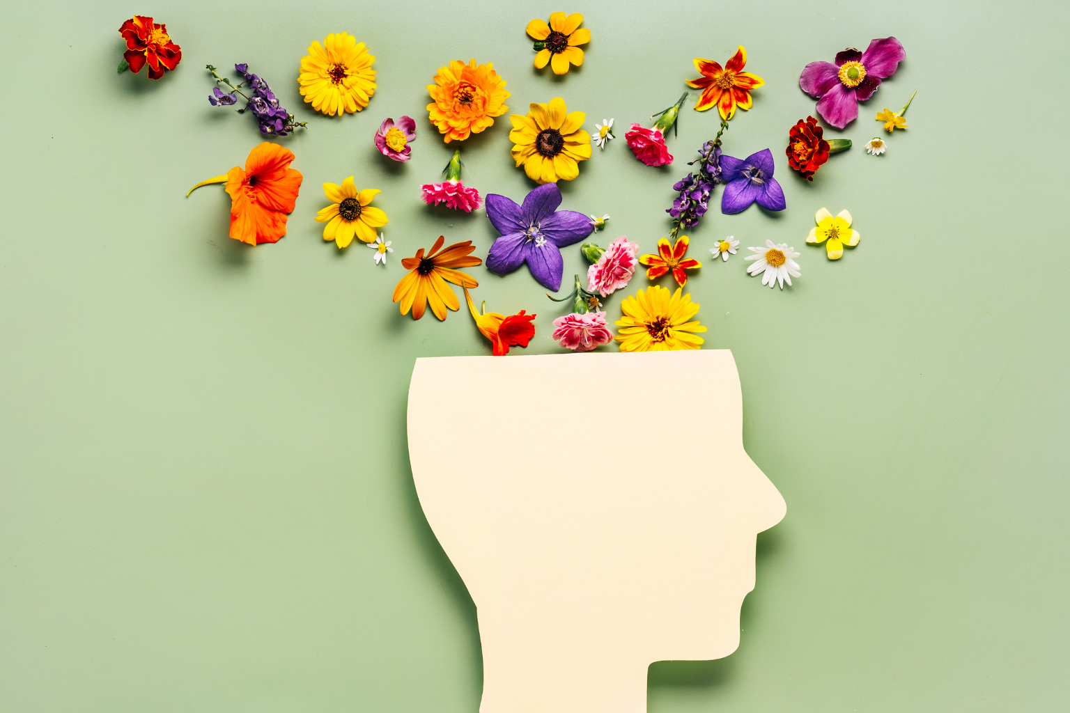 A paper cut-out silhouette of a human head in profile with colorful flowers emerging from the top, arranged on a light green background.