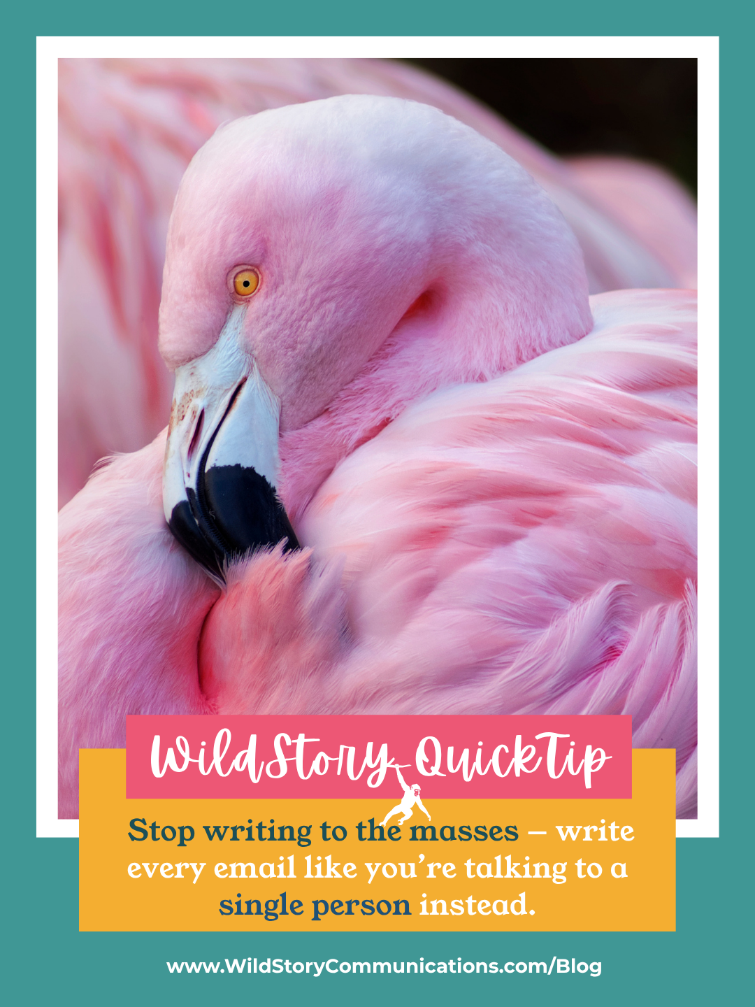 WildStory QuickTip: Stop writing to the masses — write every email like you’re talking to a single person instead.