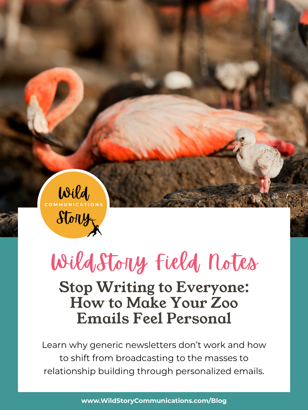 Stop Writing to Everyone: How to Make Your Zoo Emails Feel Personal