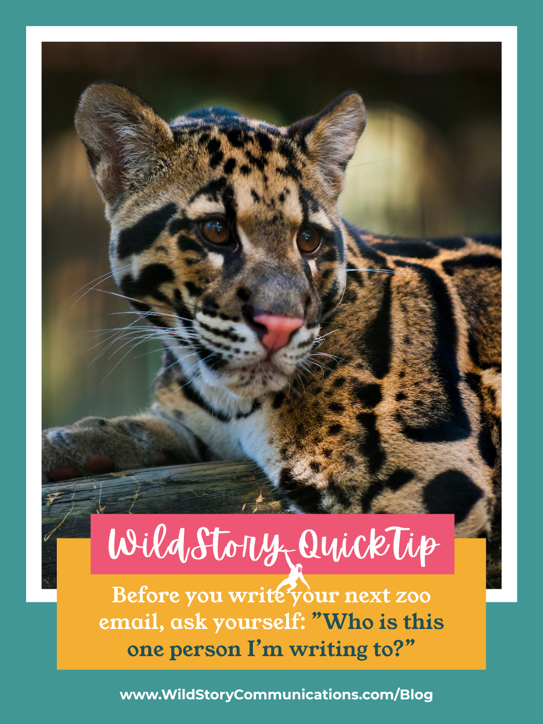 WildStory QuickTip: Before you write your next zoo email, as yourself: “Who is this one person I’m writing to?”