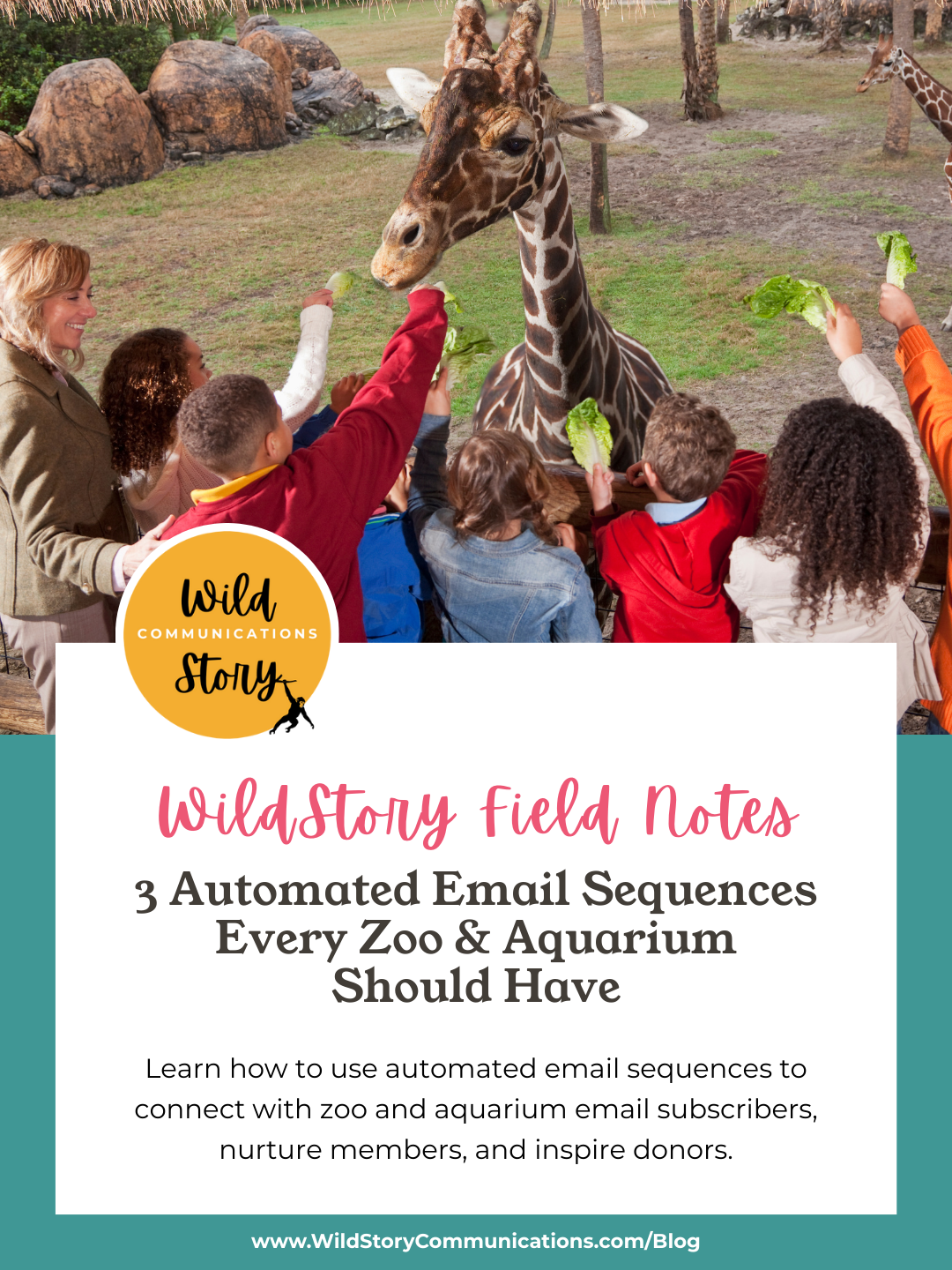 3 Automated Email Sequences Every Zoo and Aquarium Should Have
