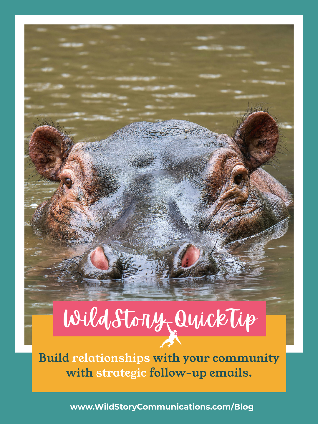 WildStory QuickTip: Build relationships with your community with strategic follow-up emails.