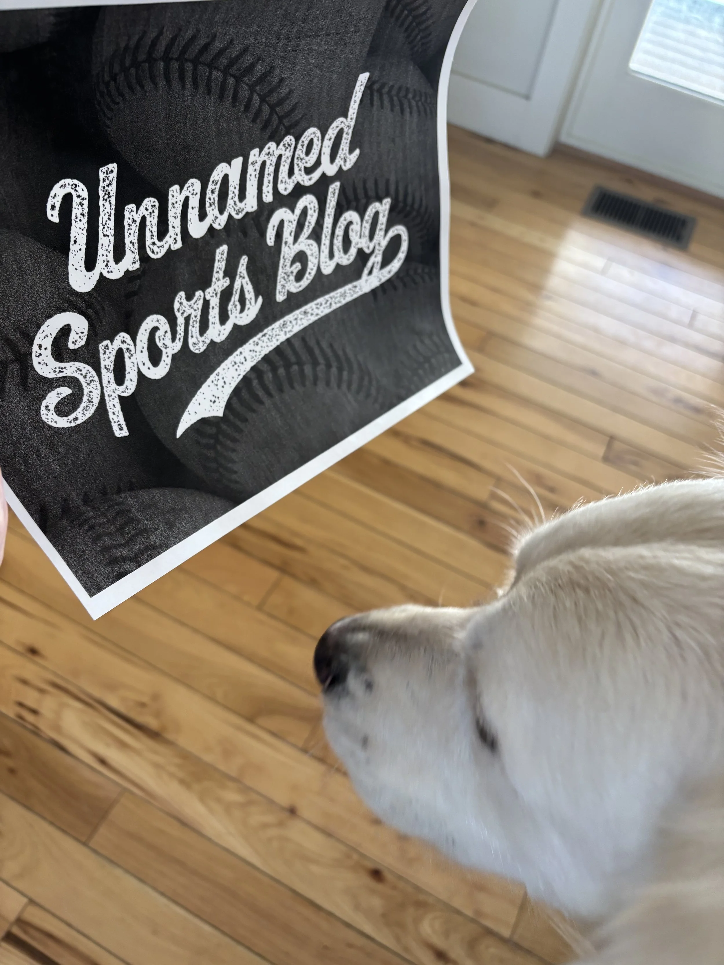 World Baseball Classic