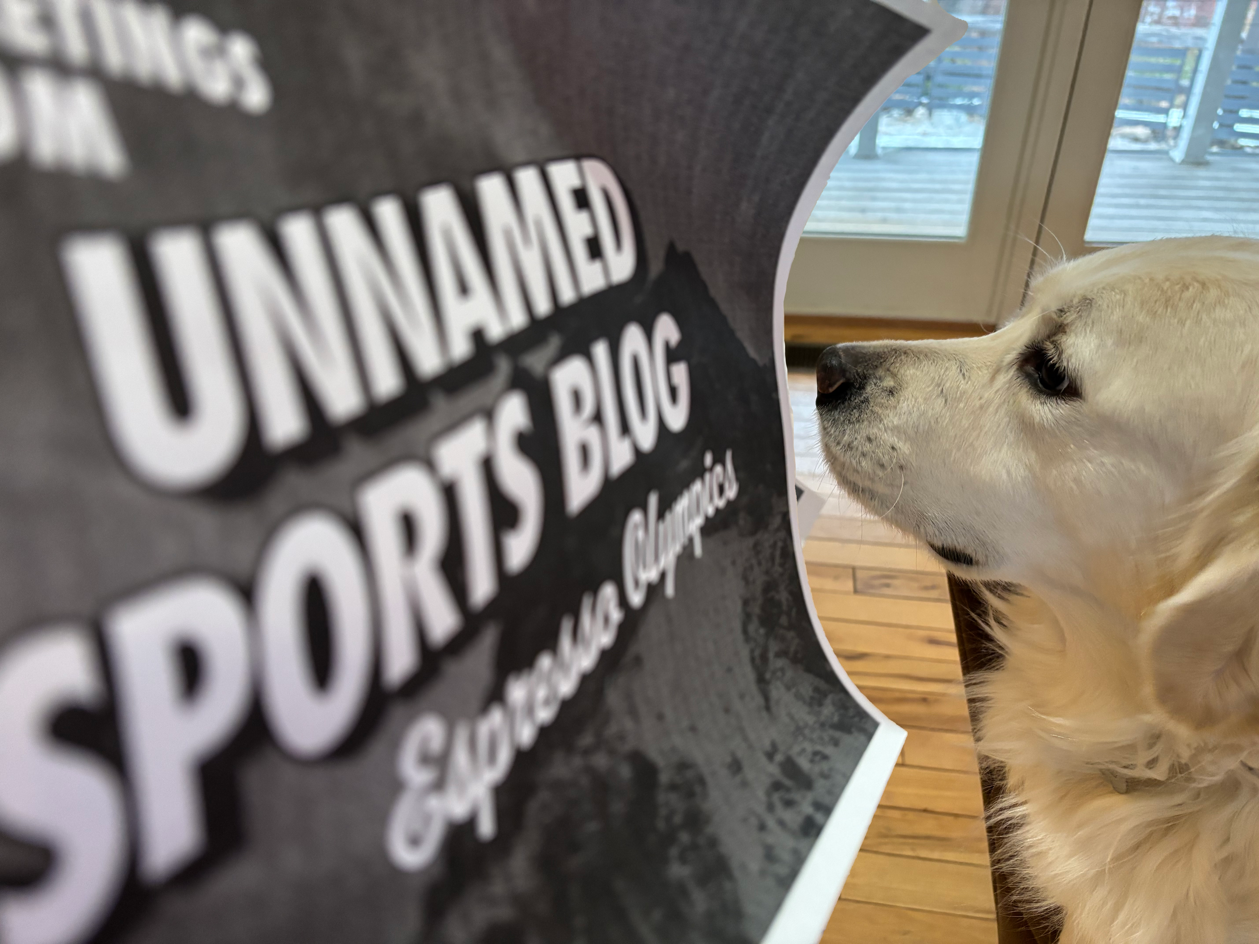 Winter Olympic Games (Milano Cortina 2026)