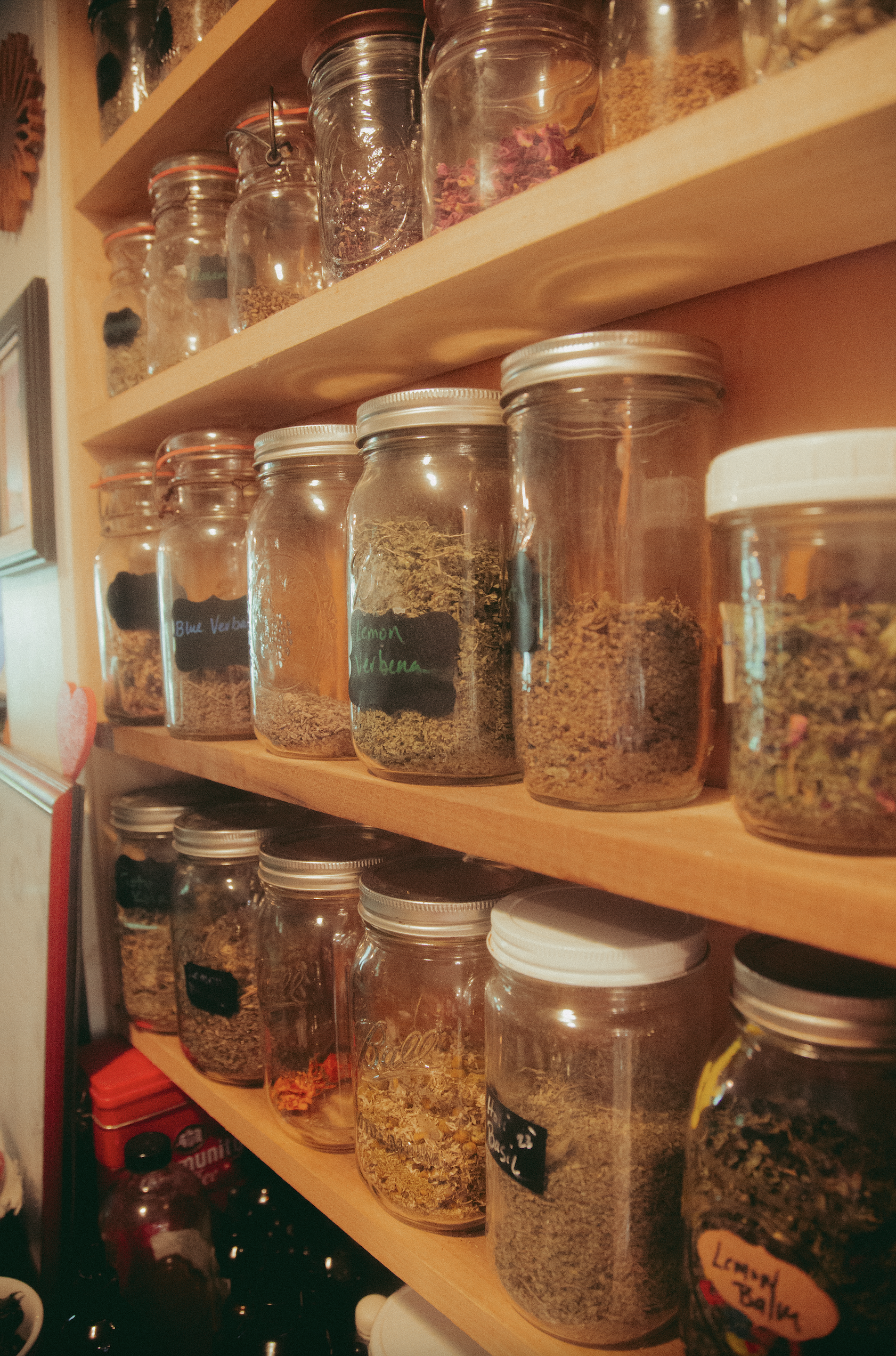 Workshop // Kitchen Herbal Medicine - SOLD OUT