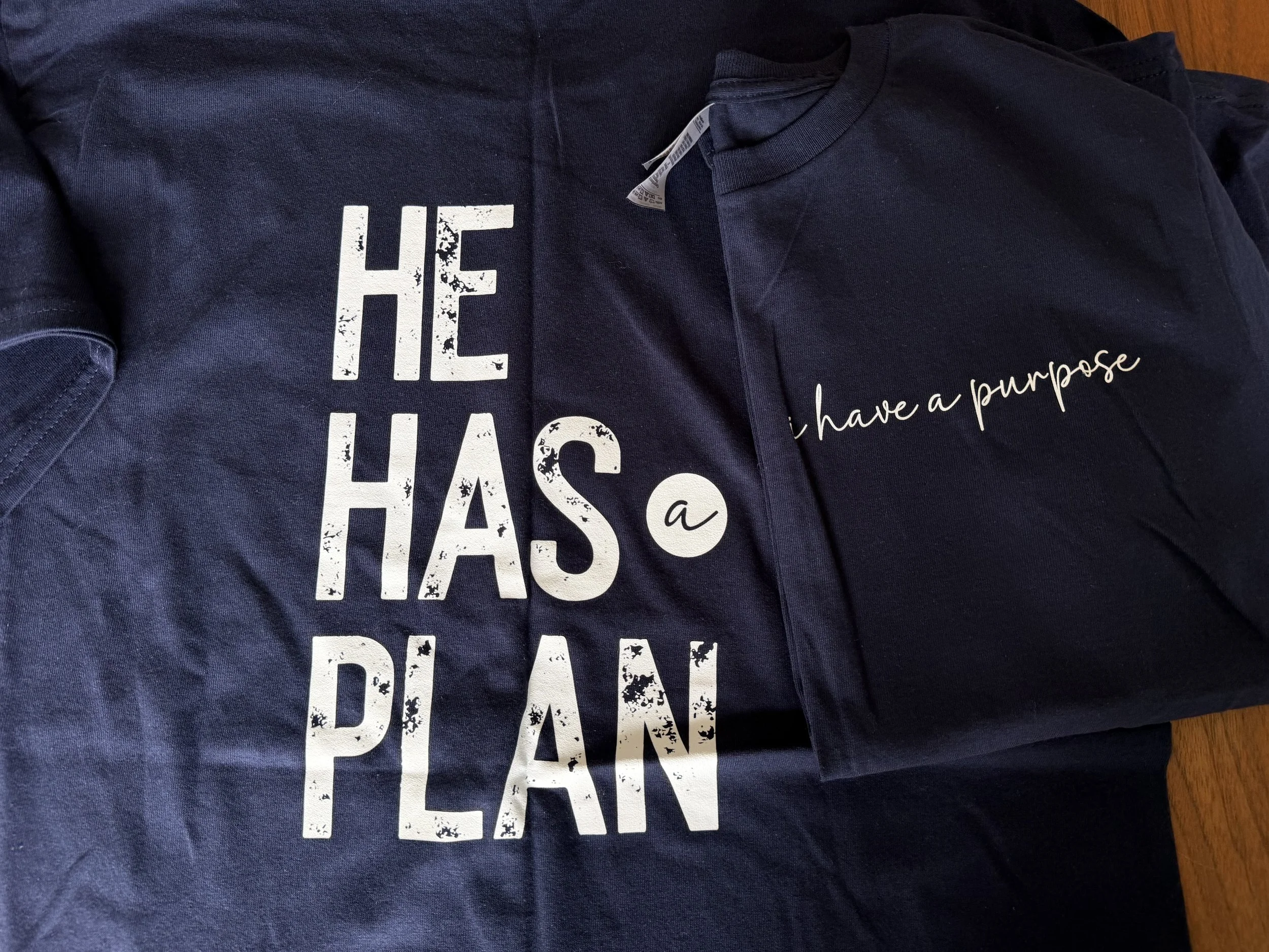 I Have A Purpose