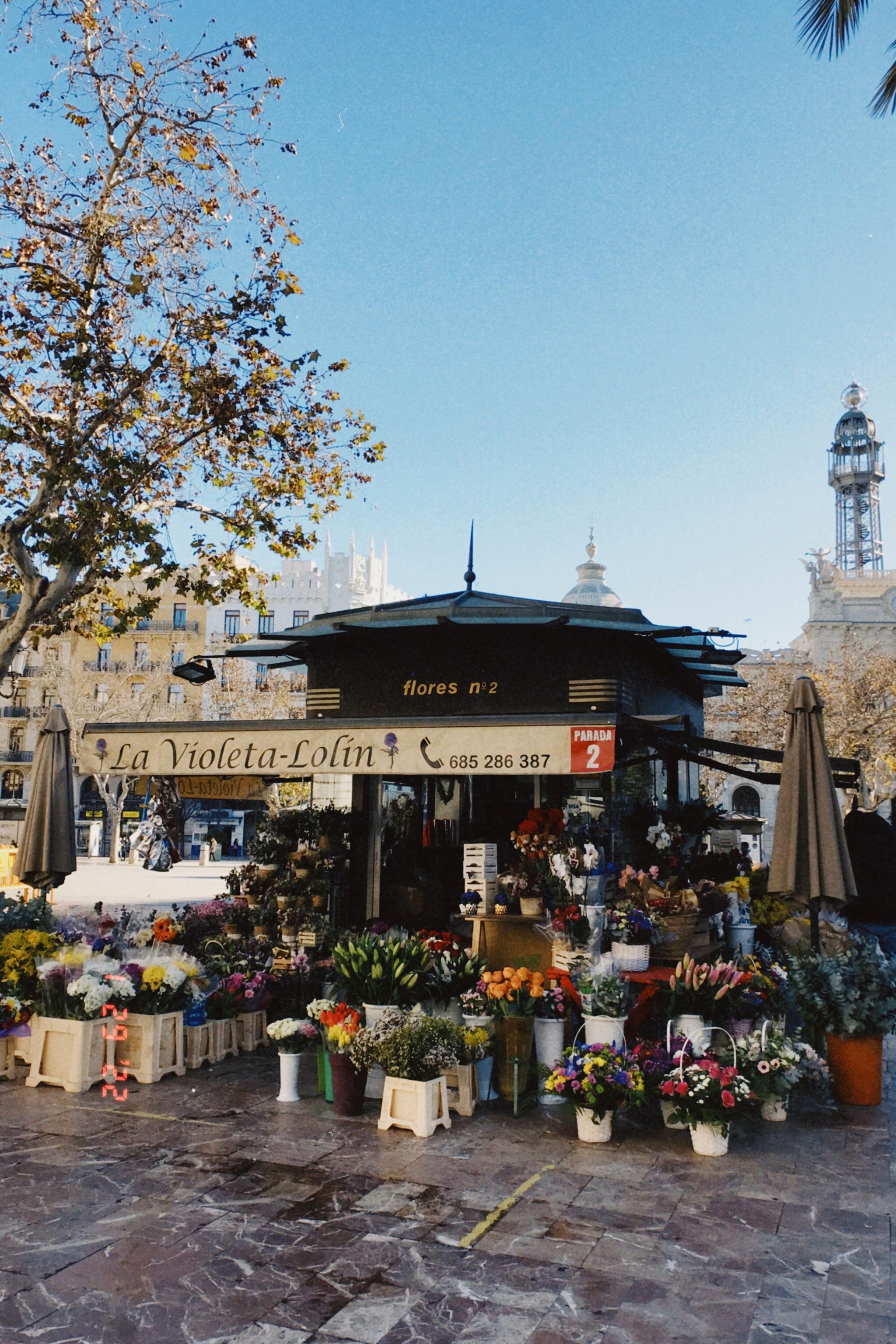 valencia flowers.jpg