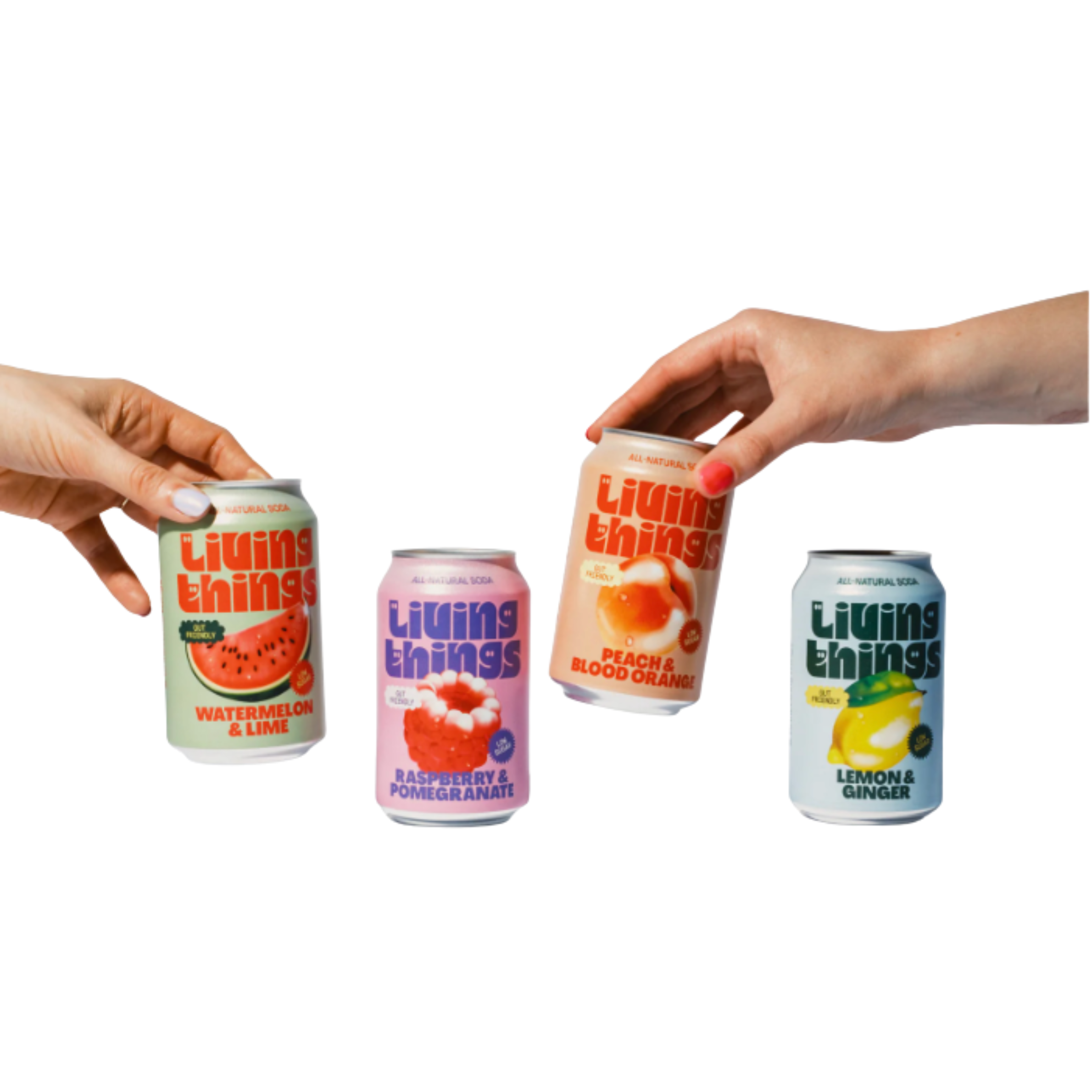 Living Things Mixed Case Soda | £22.99