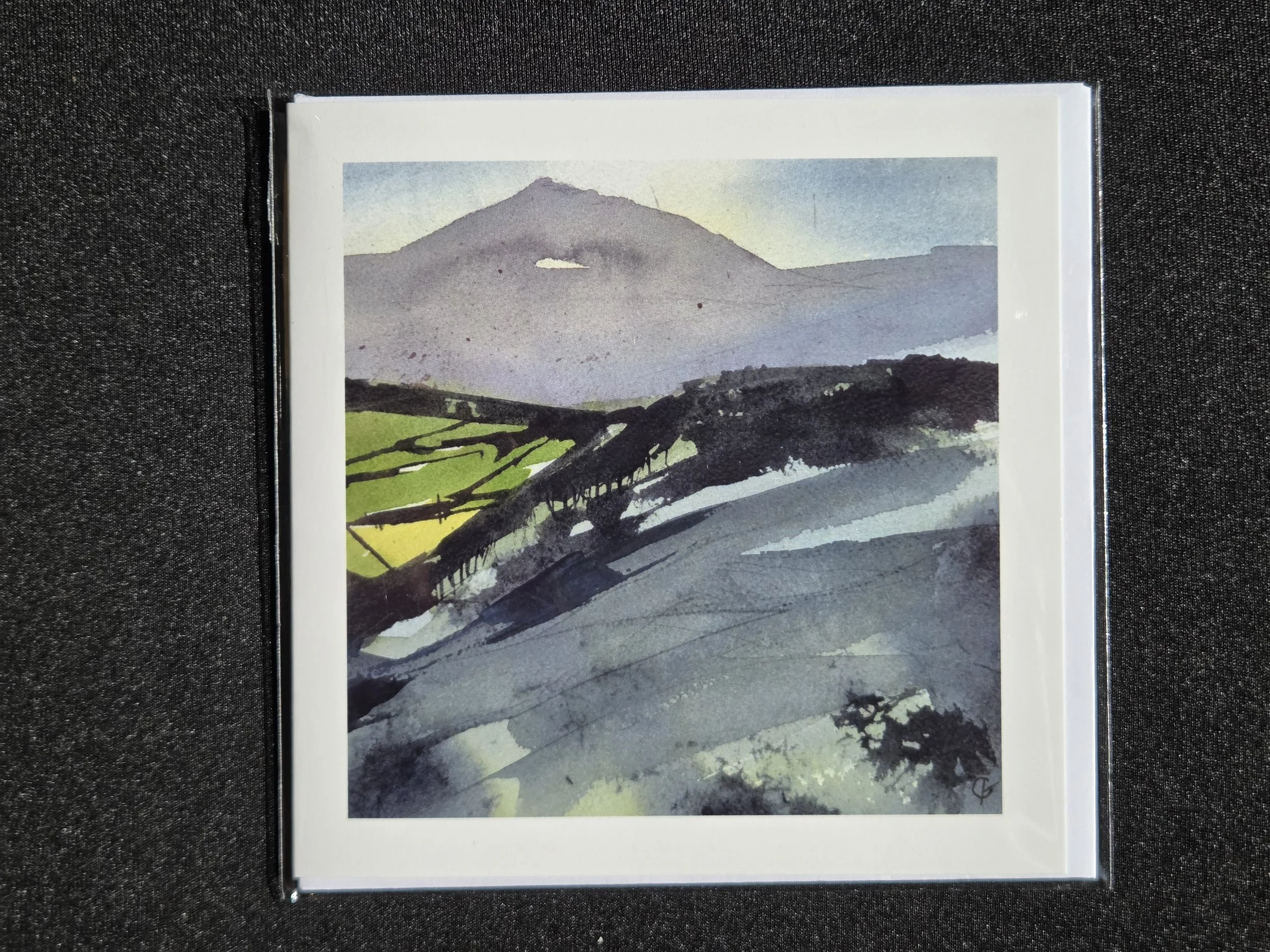 Twelve Faces of Bennachie No. 11