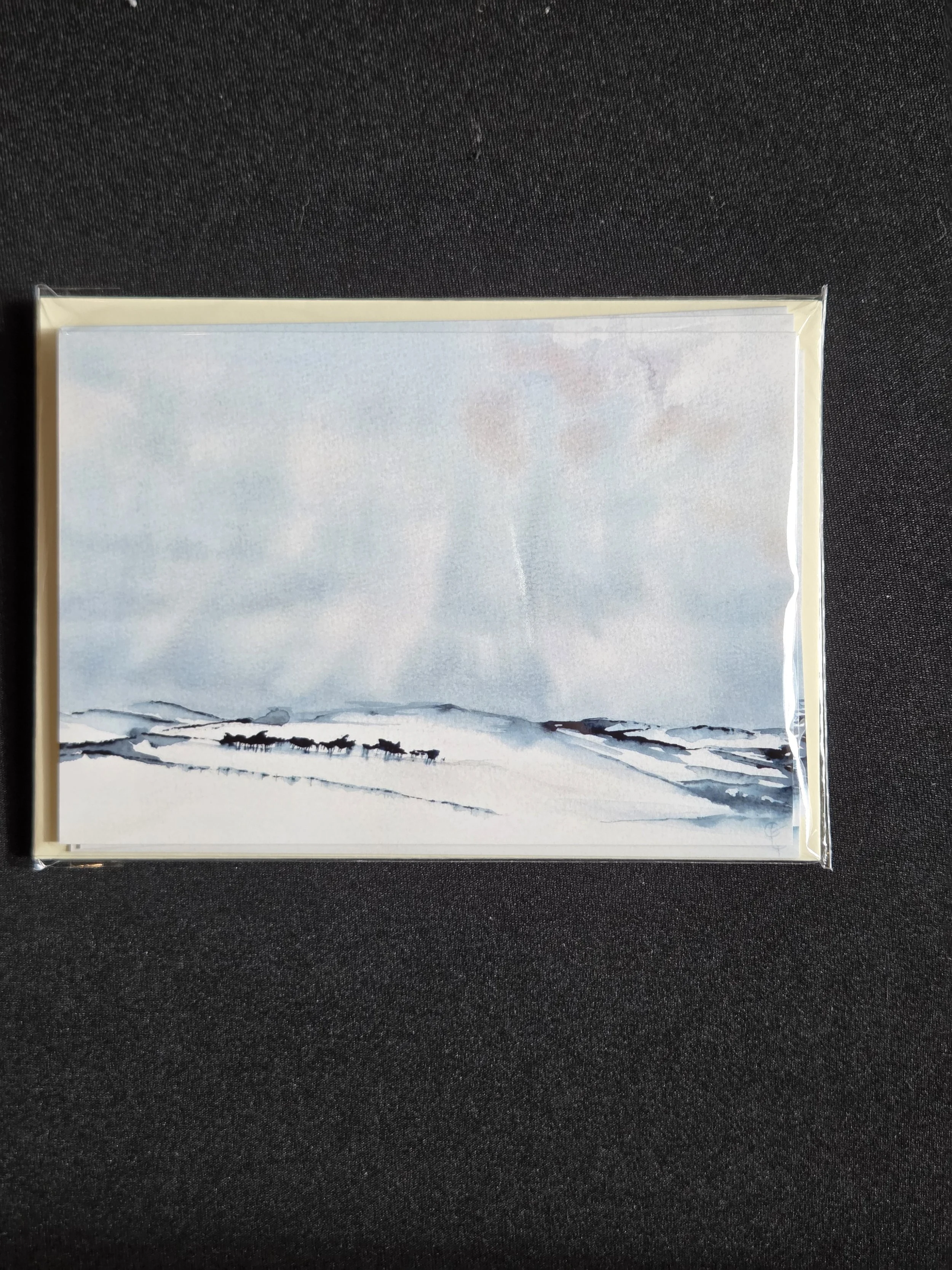 Winter Wrapped PACK OF 5