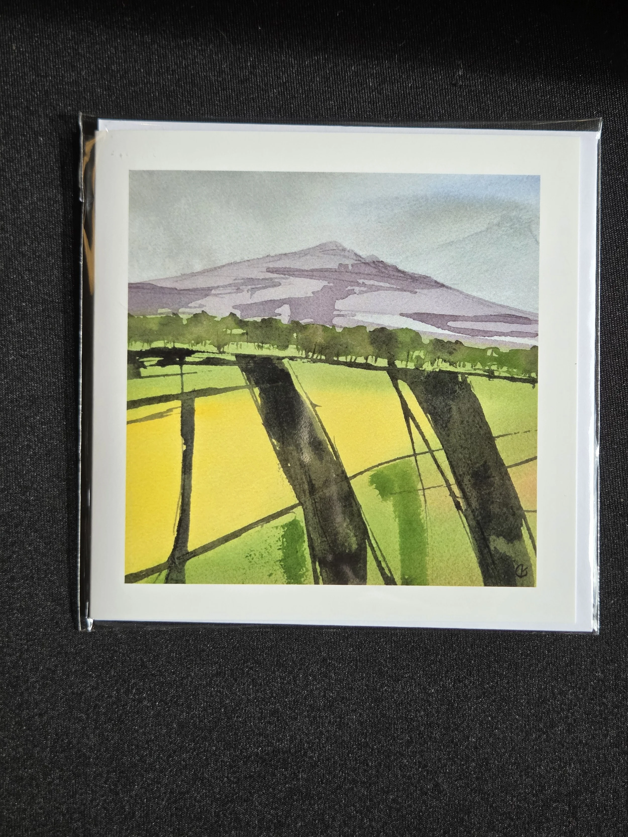 Twelve Faces of Bennachie No. 7