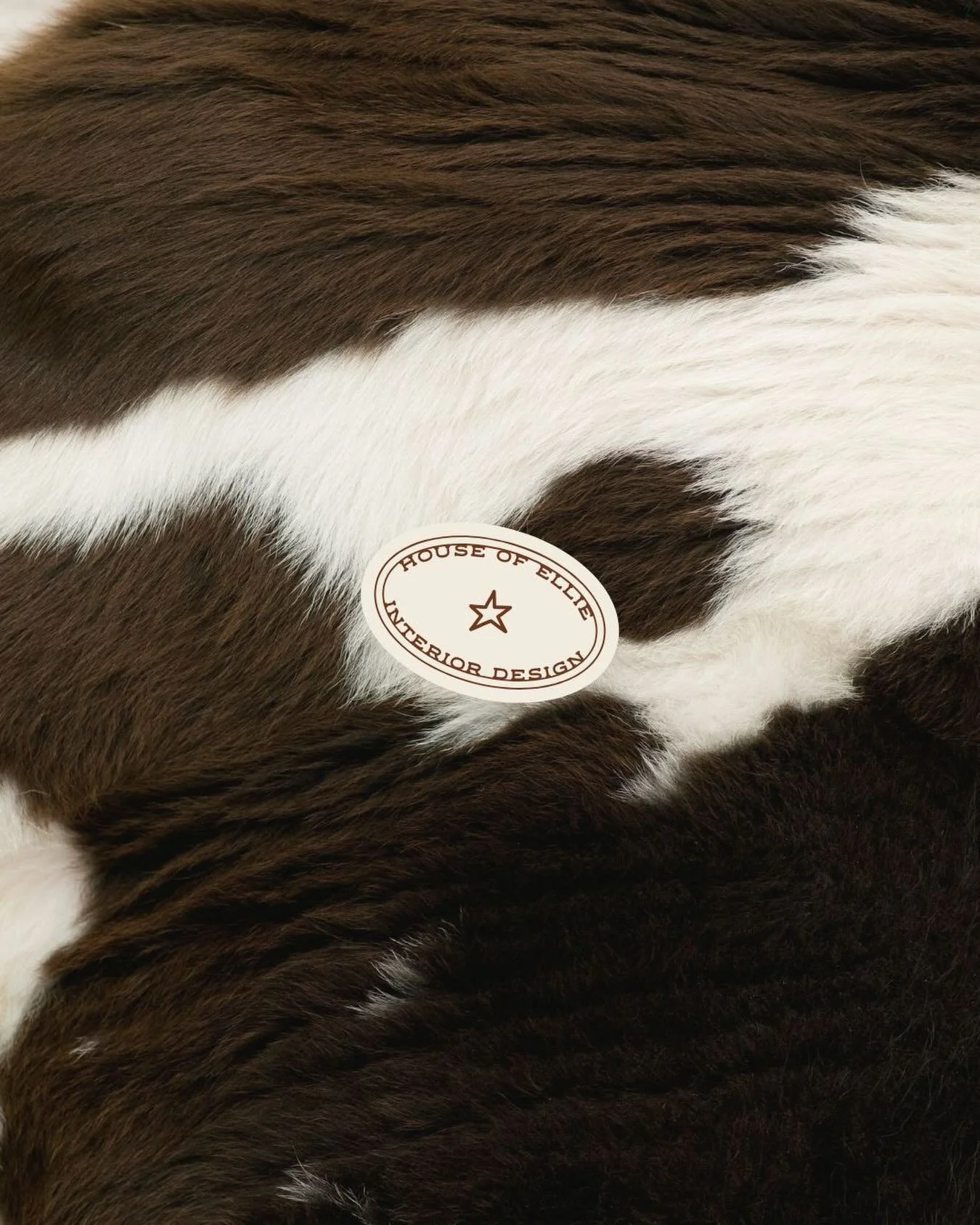 House of Ellie | Officially LIVE 🤠 

#airbnbdesign #shorttermrentaldesign #austinairbnb