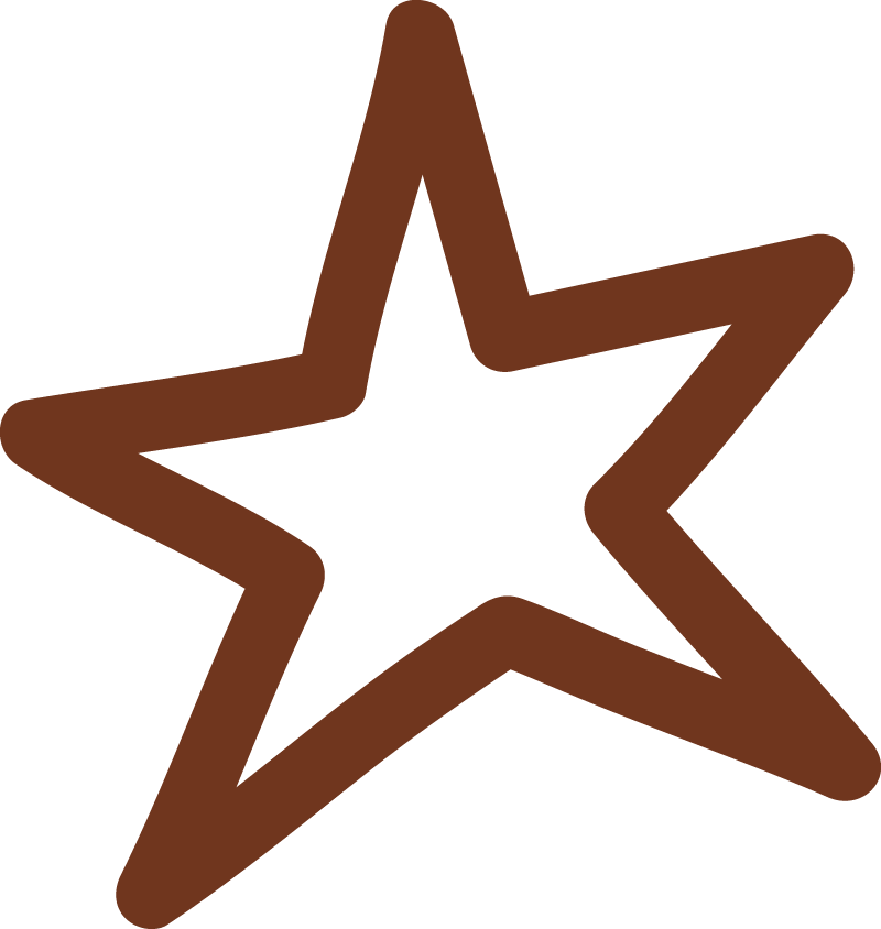 Vacation rental interior design website decorative star icon.