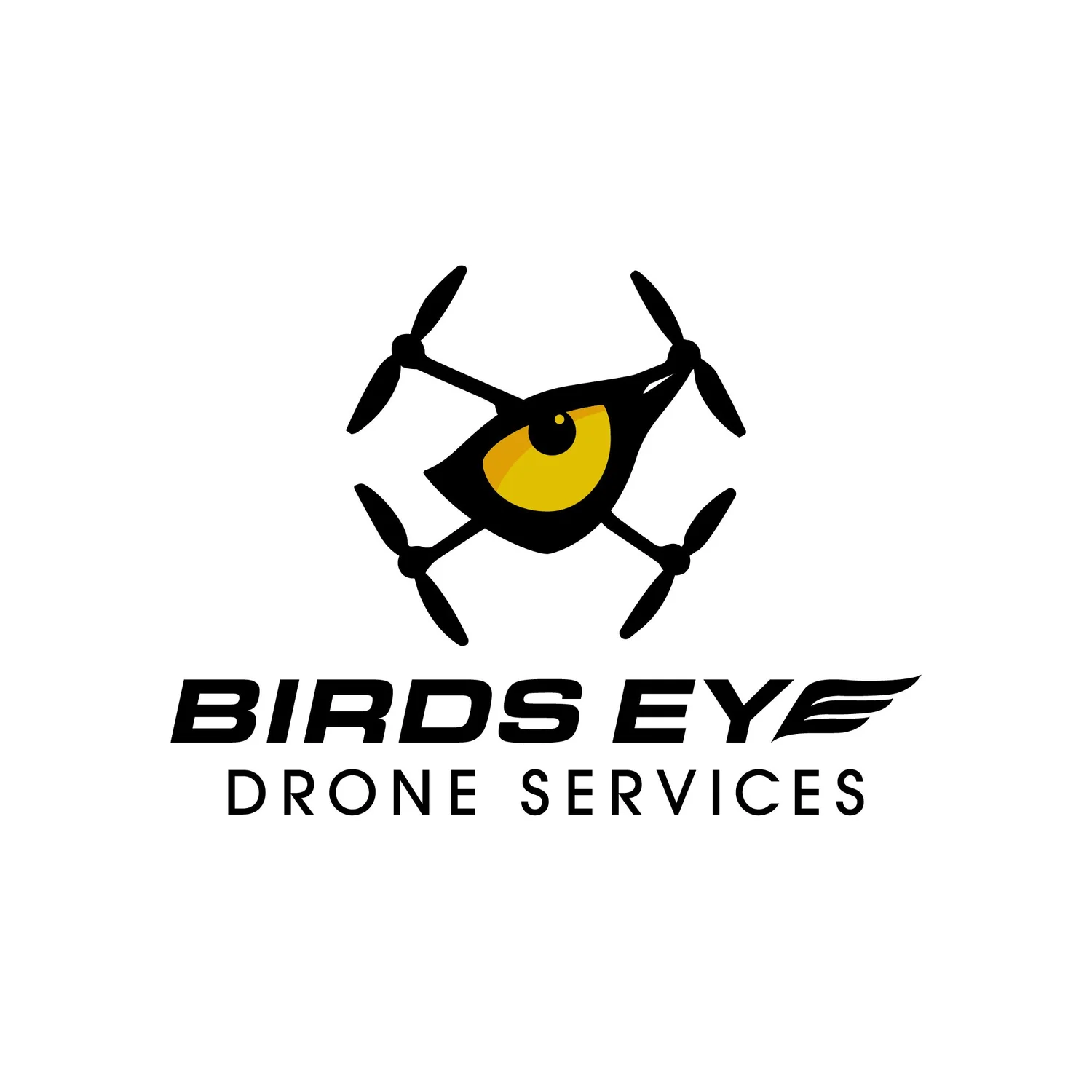 Birds Eye Drone Services
