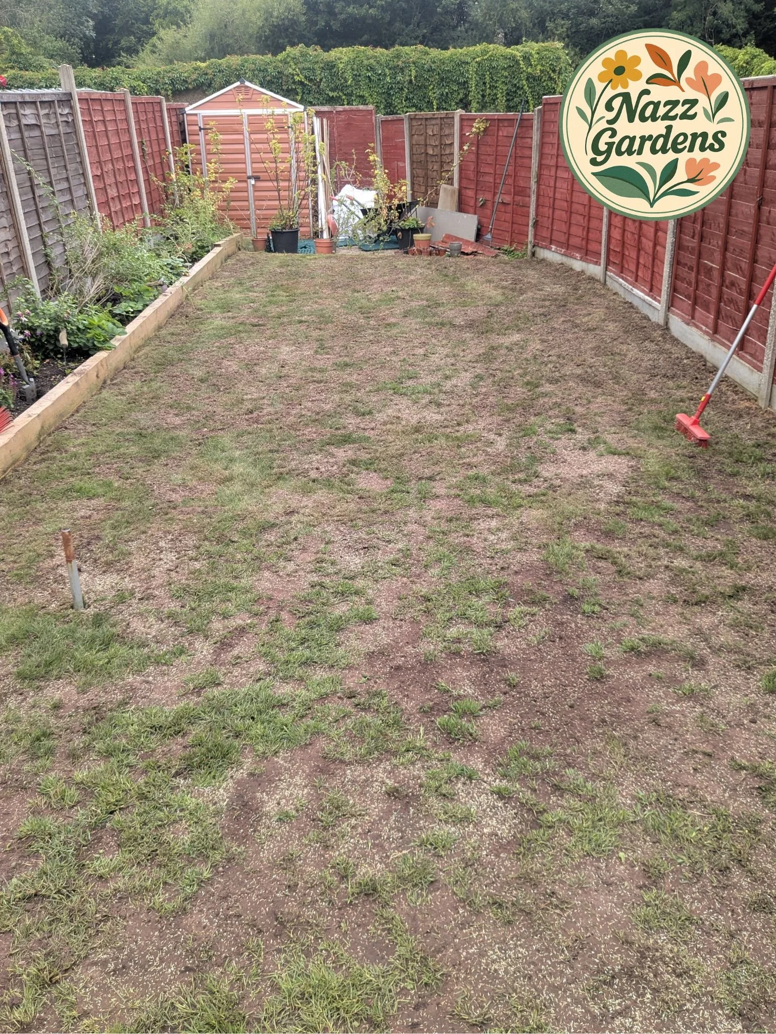 A backyard garden with a patchy lawn, bordered by flower beds with various plants, enclosed by a wooden panel fence, and a small garden shed in the background, with a logo reading "Nazz Gardens" in the top right corner.
