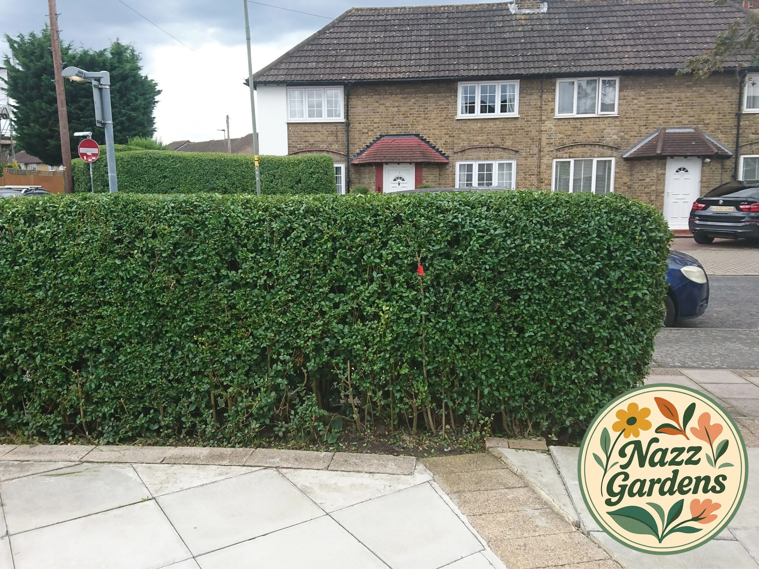 Untitled design (1).jpg