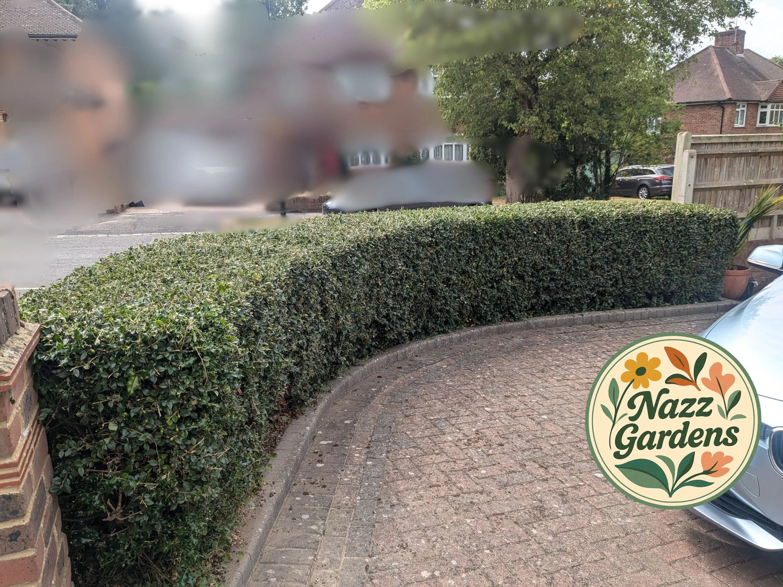 Landscape template.jpg