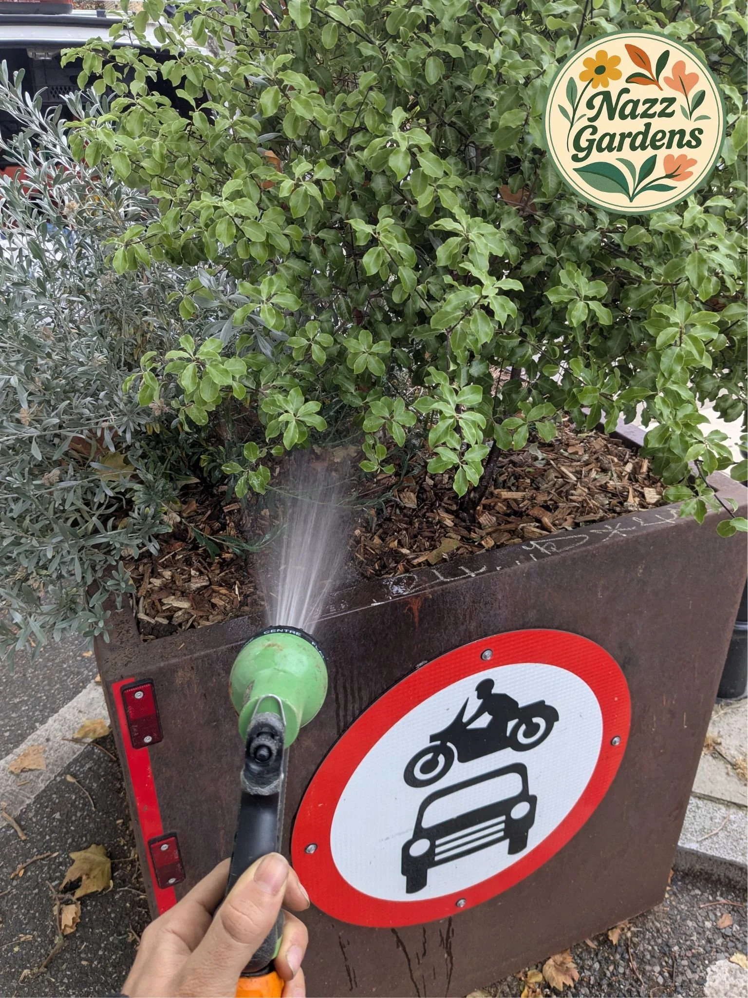 Hand watering a green shrub in a large planter with a garden hose, with a Nazz Gardens logo in the top right corner.