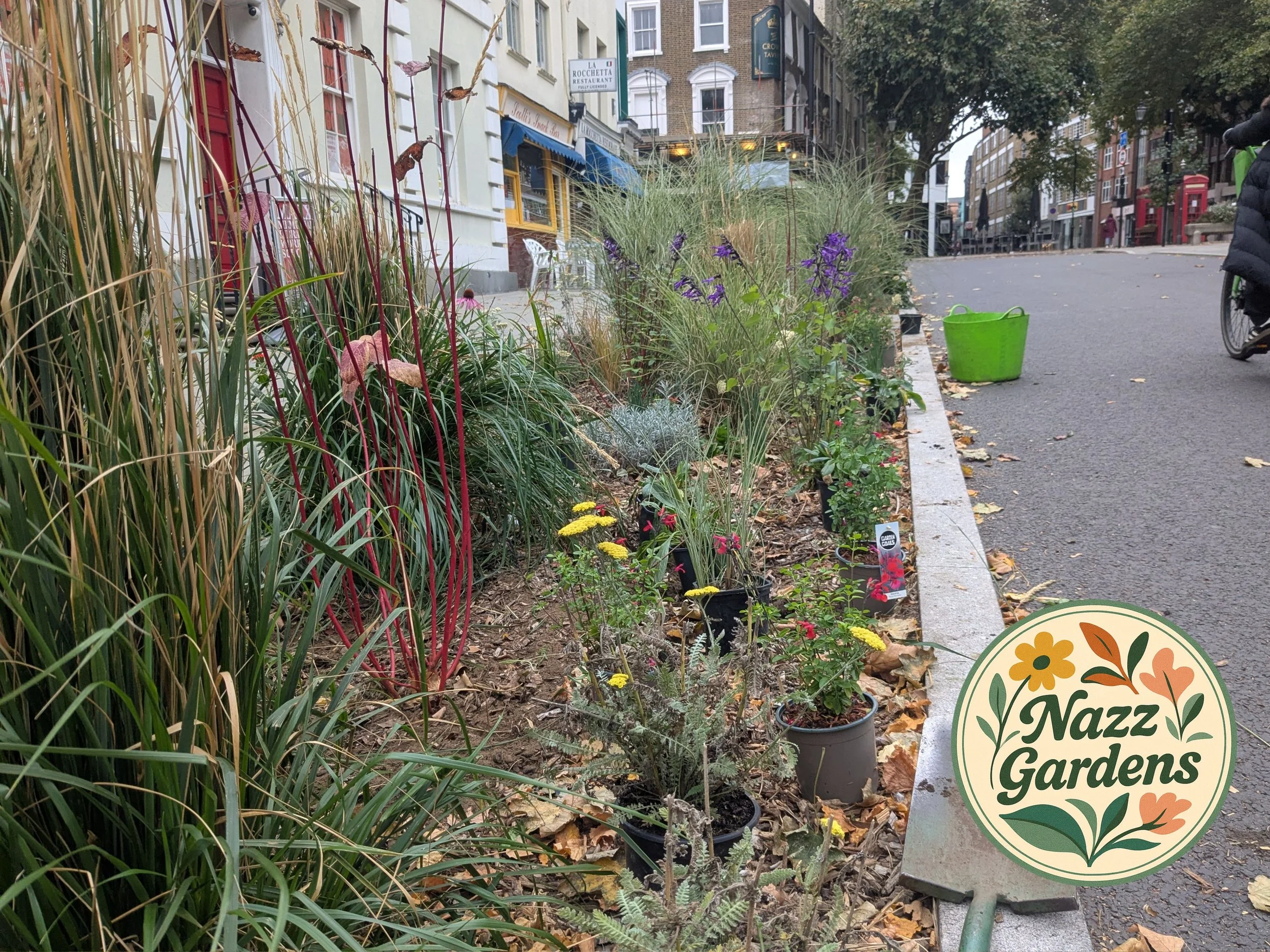 A kerb side garden with various plants and flowers, including purple, yellow, and pink blooms, along a city street with buildings and a person riding a bicycle in the background.