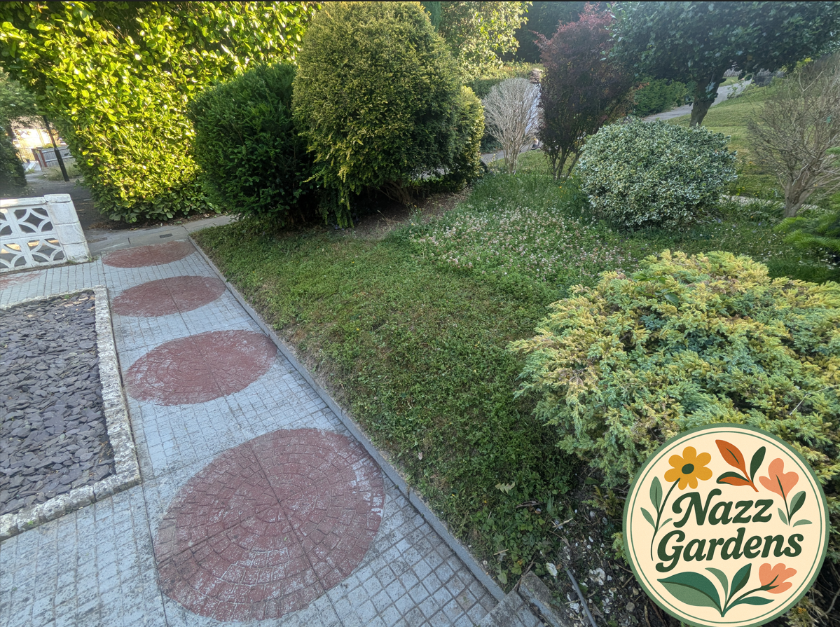 Screenshot 2026-02-21 135734.png