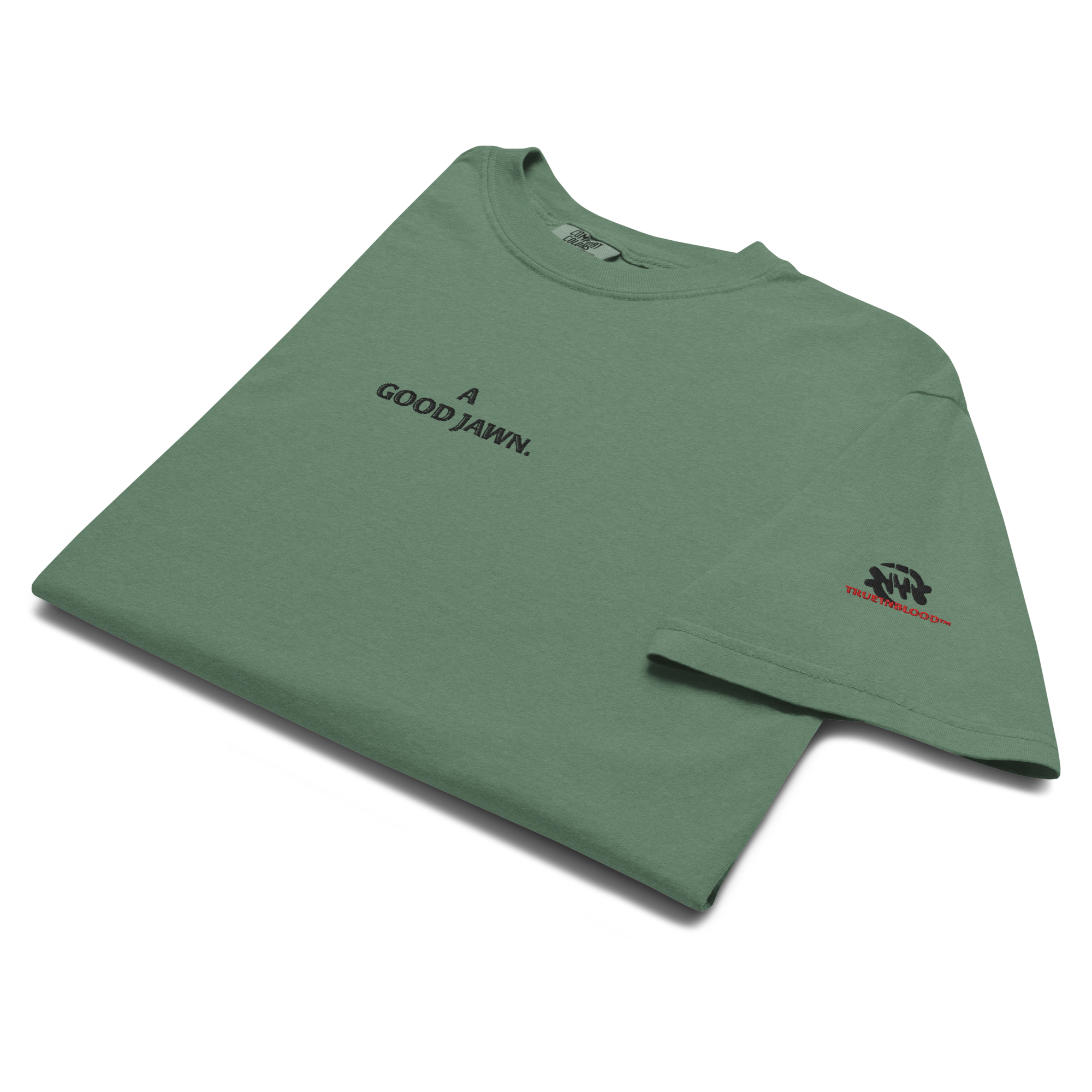 unisex-garment-dyed-heavyweight-t-shirt-light-green-front-6a640400add05.PNG