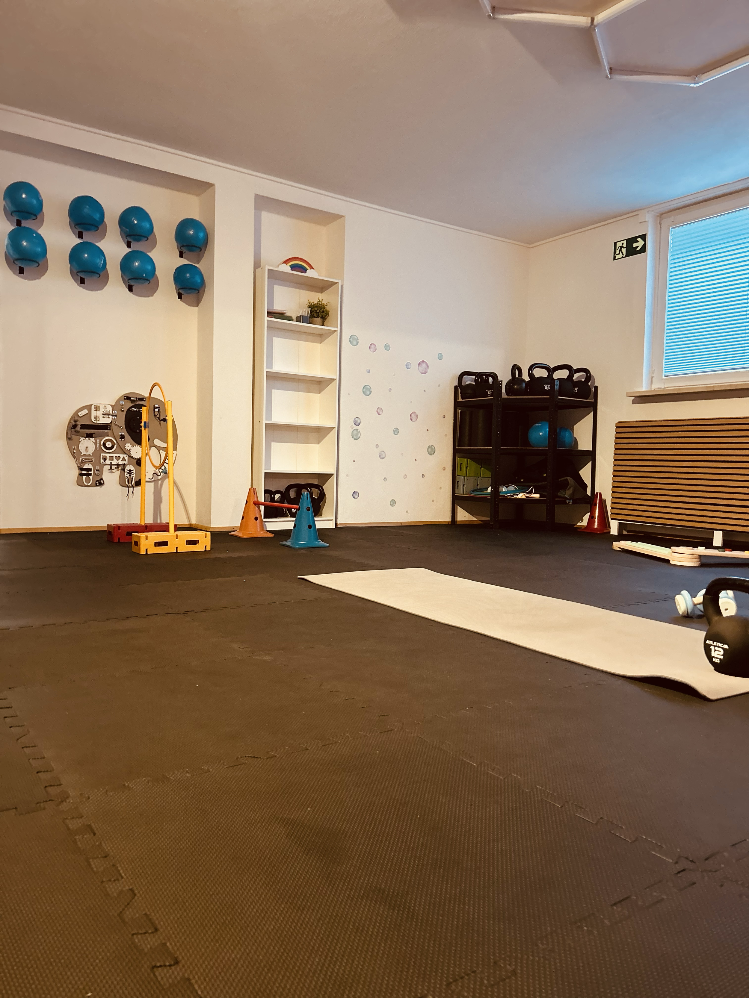Ein Fitnessraum mit Fitnessgeräten, Hanteln, Gymnastikmatte und Gummibällen an der Wand.