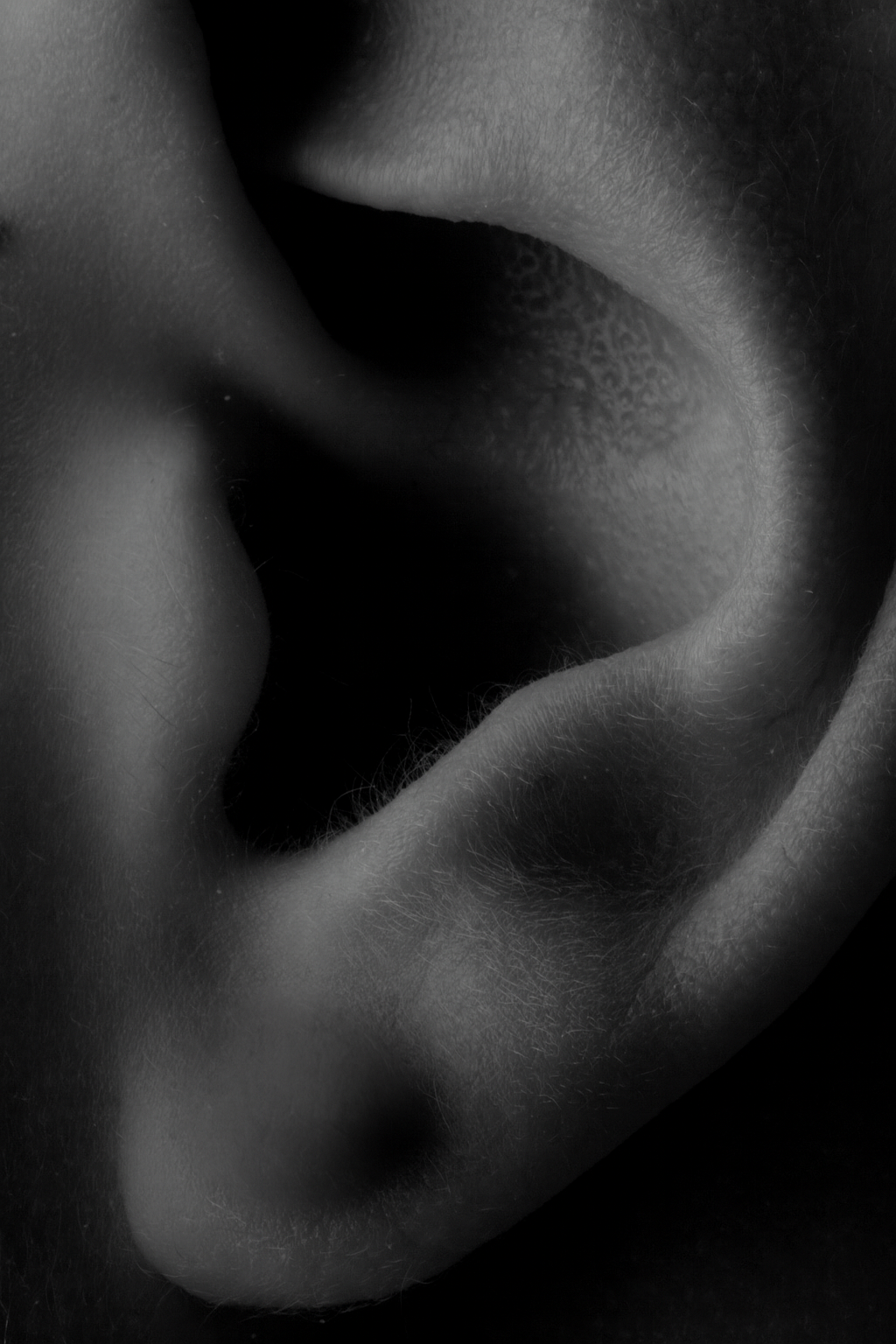 Close-up en noir et blanc d'une oreille humaine, montrant les détails de la peau et de la texture de l'oreille.