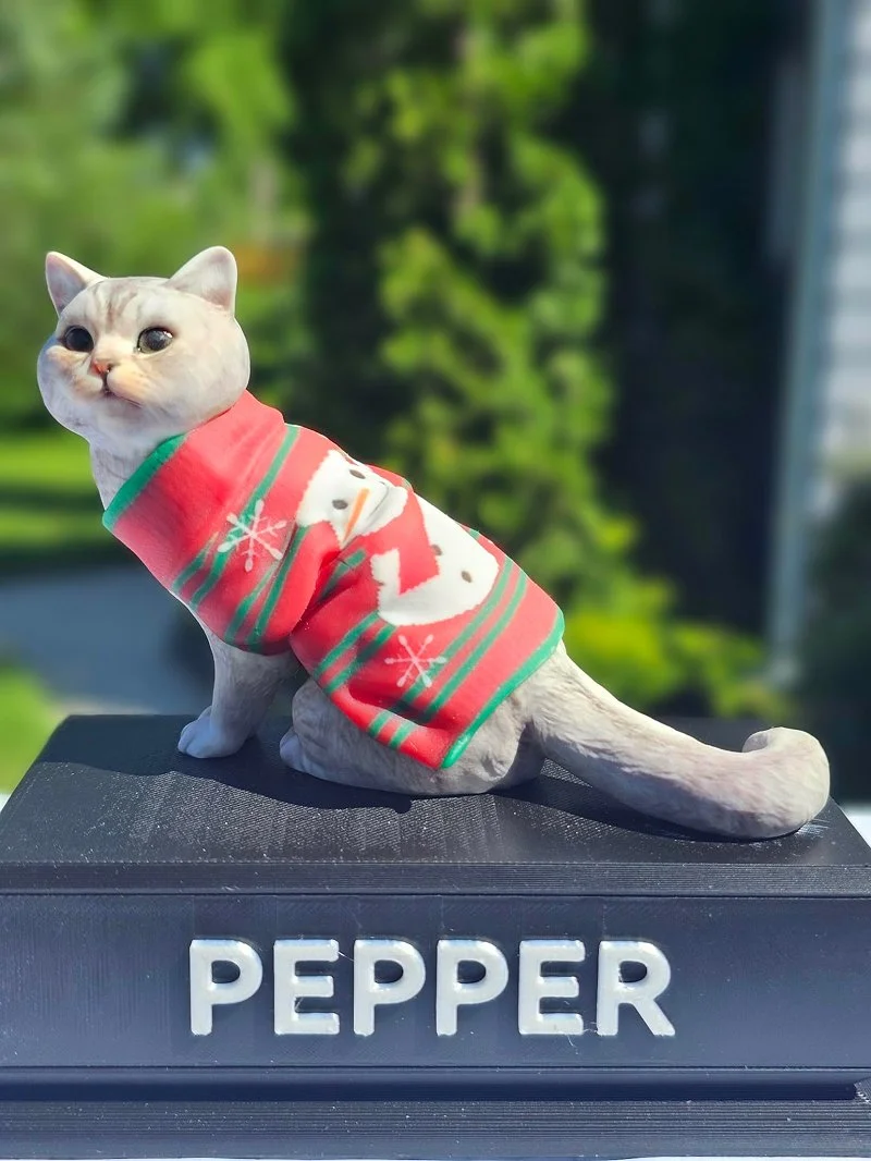 A white cat with a painted face resembling a real cat, wearing a red and green Christmas sweater, sitting on a black surface with the name 'PEPPER' displayed, against a blurred outdoor background.
