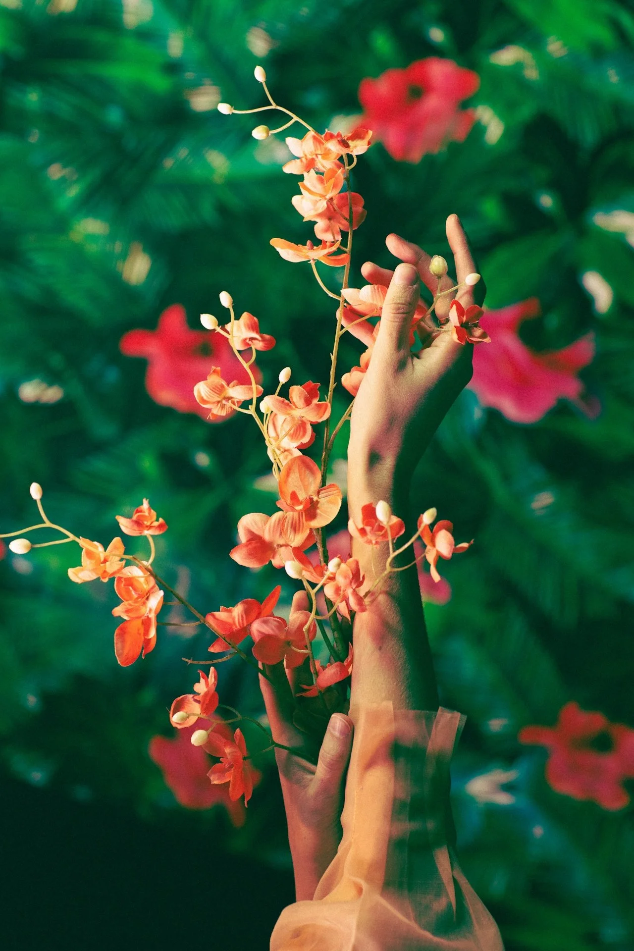 A hand holding a branch of orange orchids against a blurred background of green leaves and pink flowers.