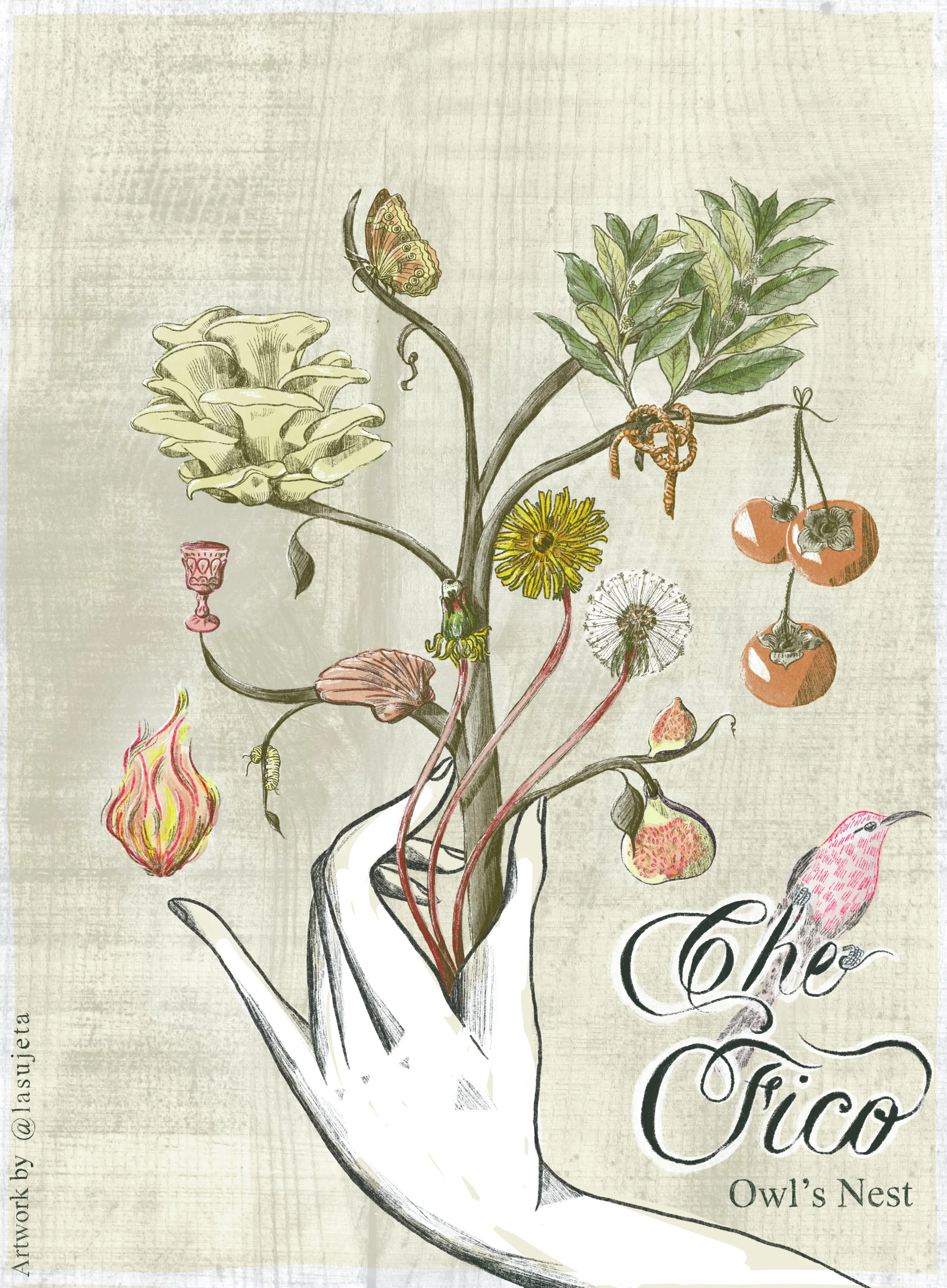 Illustration by Laura Umaña for Che Fico Owl’s Nest, showing a hand holding a branch sprouting plants, fruits, and symbolic details.