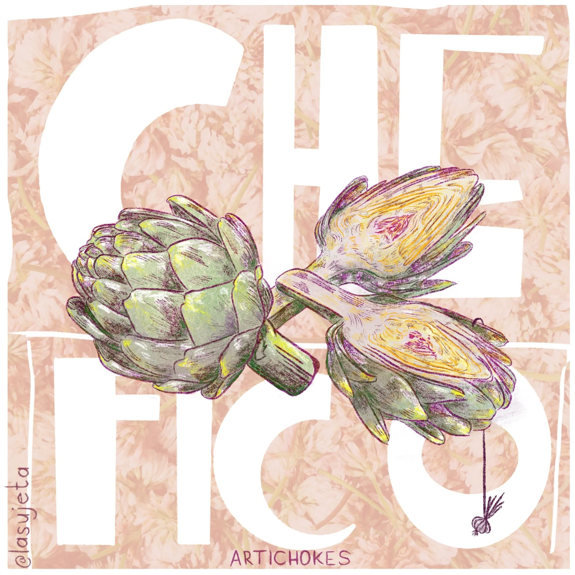 Botanical art of artichokes illustrated by Laura Umaña for Che Fico, rendered with fine pencil textures and soft natural tones.