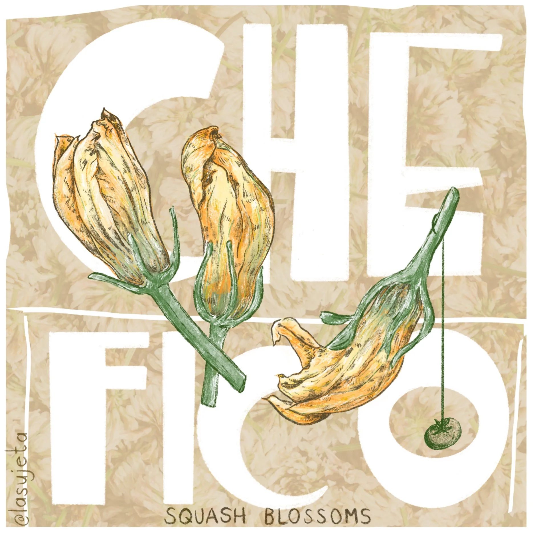 Delicate illustration of squash blossoms for Che Fico by Laura Umaña, depicting edible flowers in a detailed botanical style.