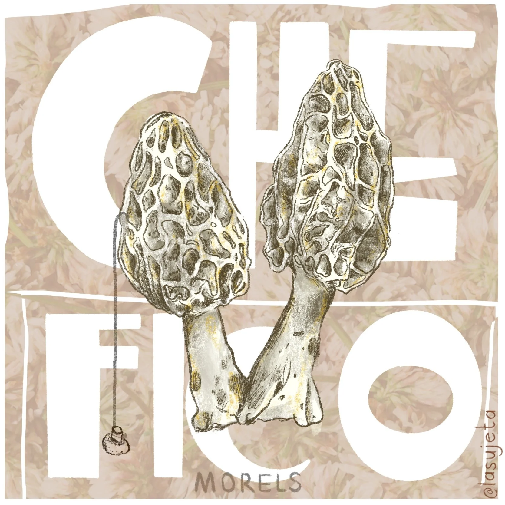 Detailed botanical drawing of morel mushrooms created by Laura Umaña for Che Fico, featuring intricate texture and organic tones.