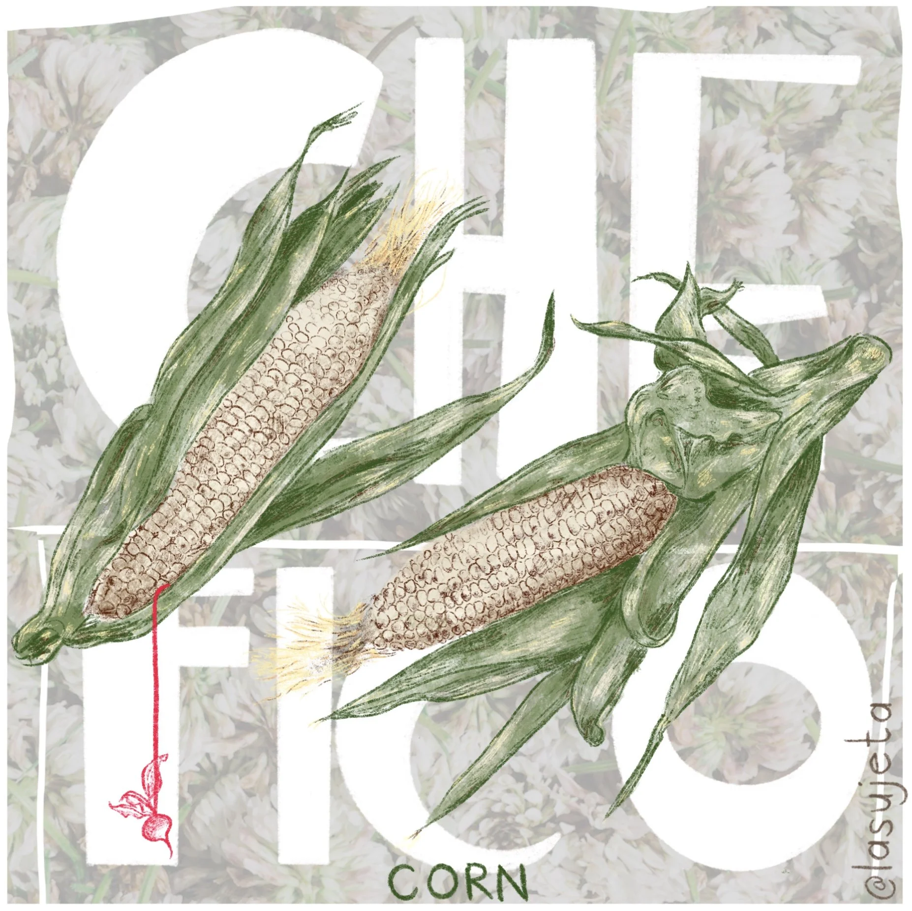 Corn illustration for Che Fico restaurant — Laura Umaña’s hand-drawn artwork celebrating seasonal produce through delicate line and organic composition.
