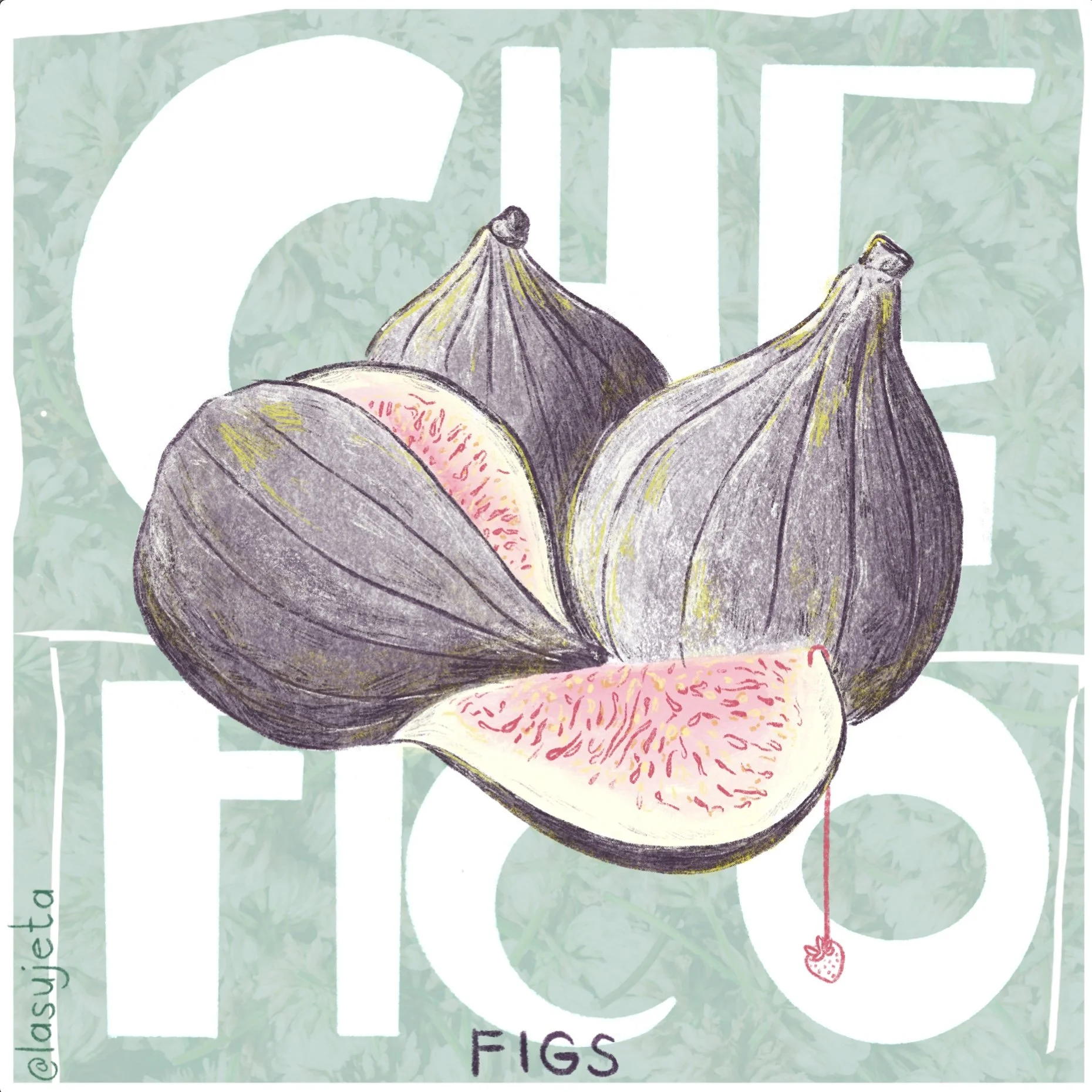Botanical fig illustration for Che Fico — a hand-drawn study of color and texture by Laura Umaña, merging culinary storytelling with elegant design.