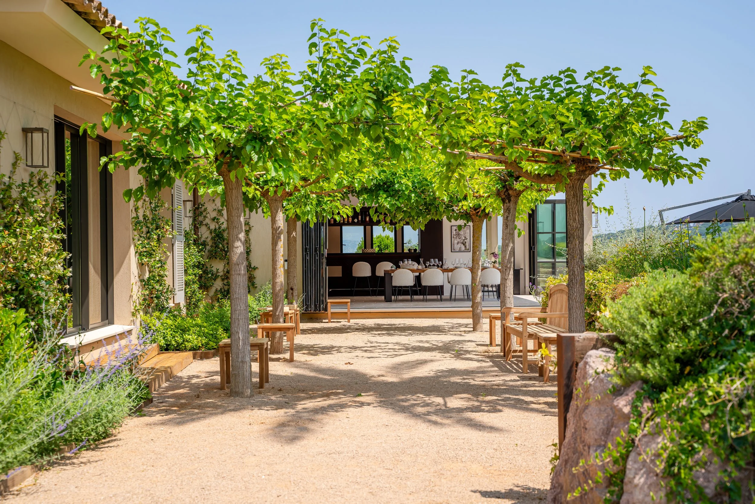 Outdoor patio with a sandy path, shaded by a row of lush green trees, leading to a dining area with a table and chairs inside a modern building.