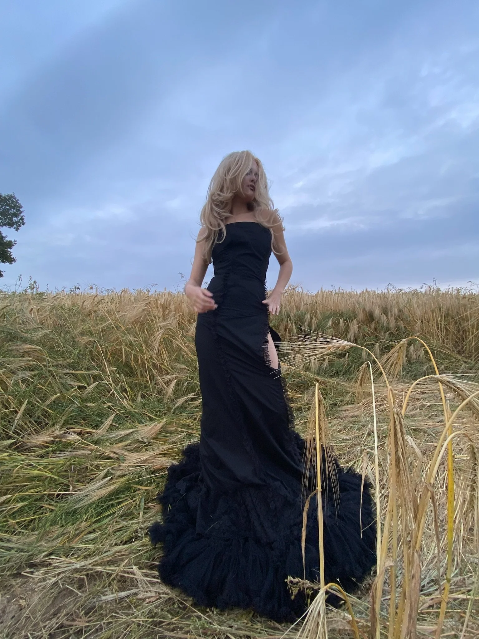 Xtina Kittenheel in Busch Corset and dress reveal
Shot by Williamfhenderson 